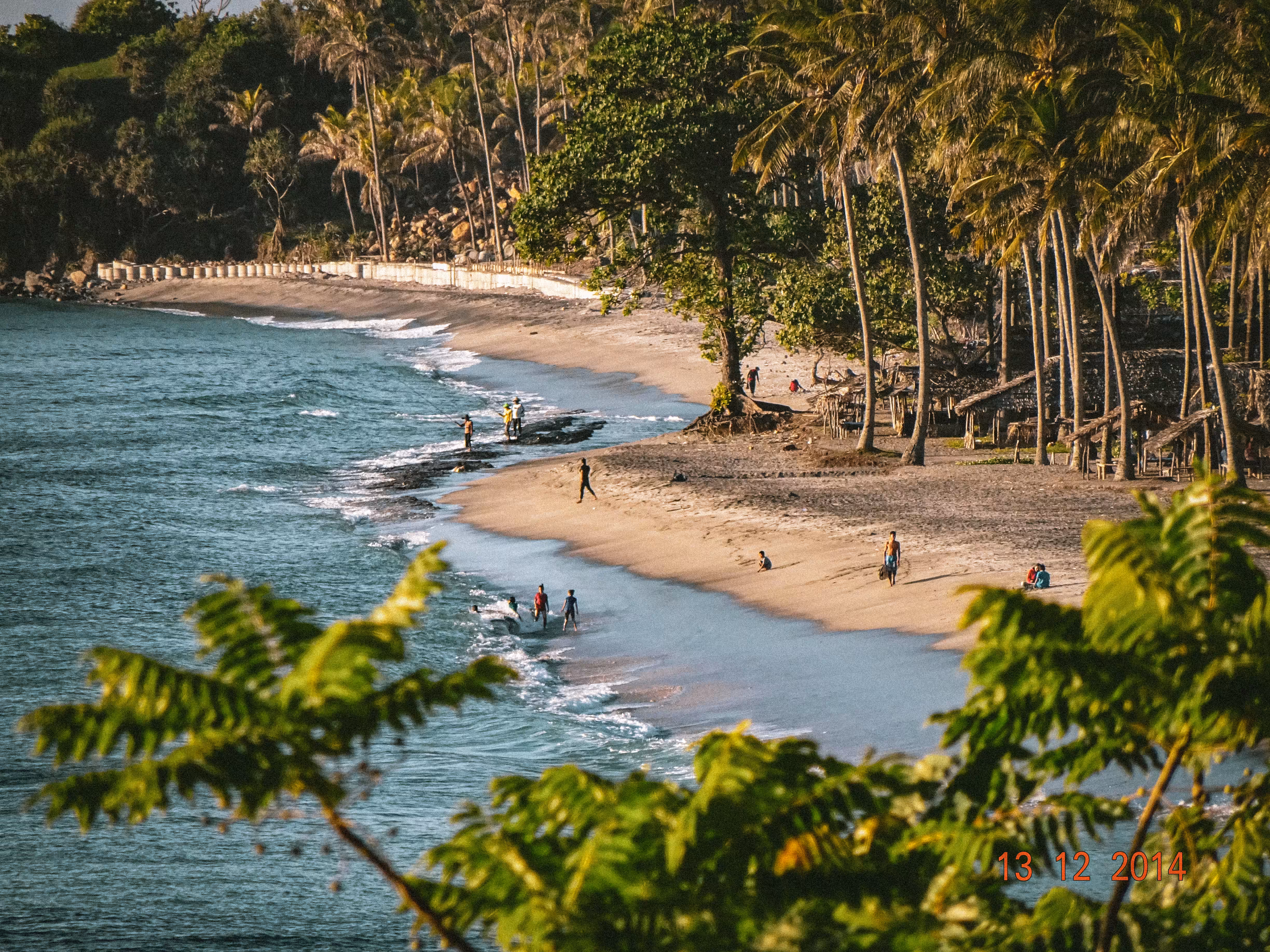 Life Along the Shore