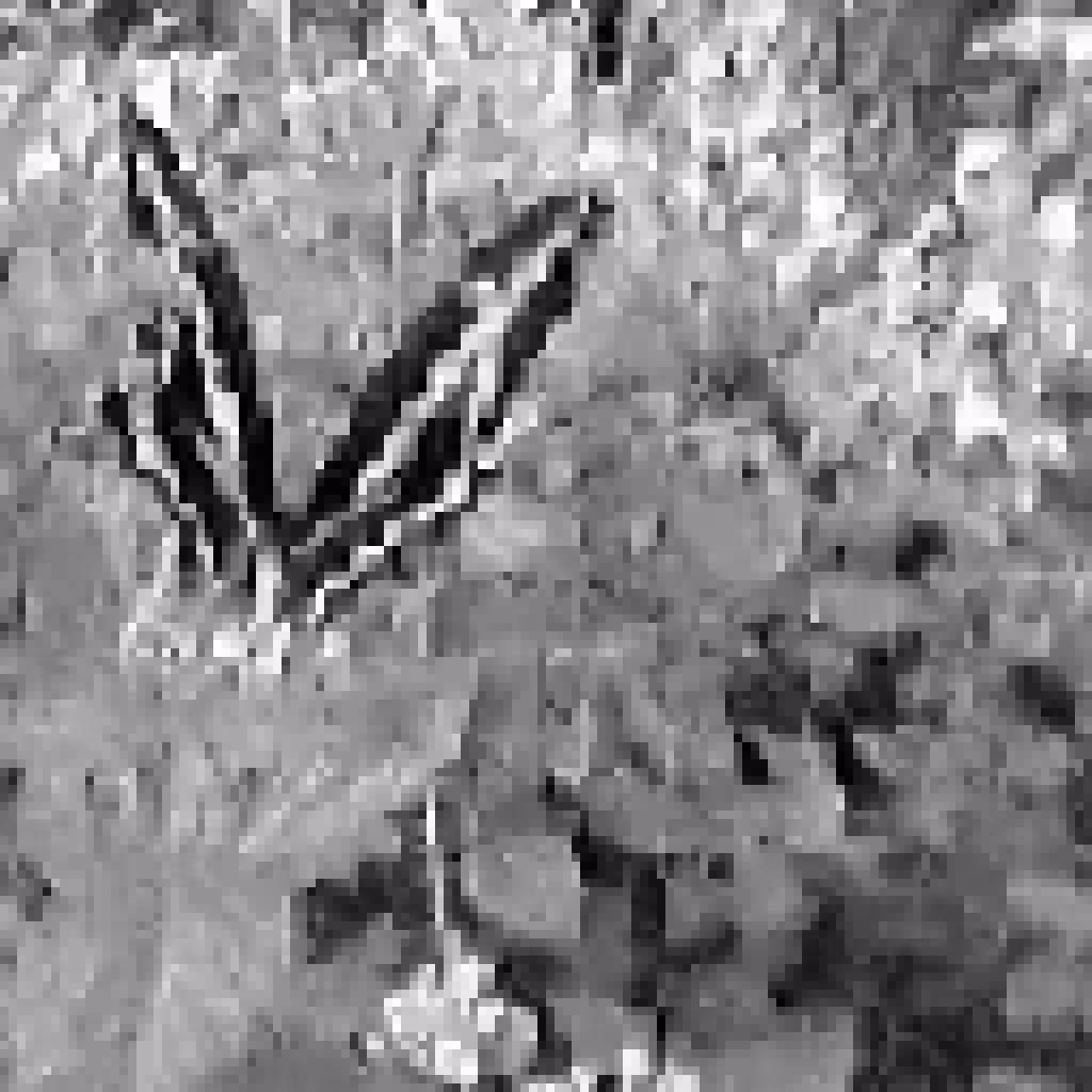 Butterfly #1