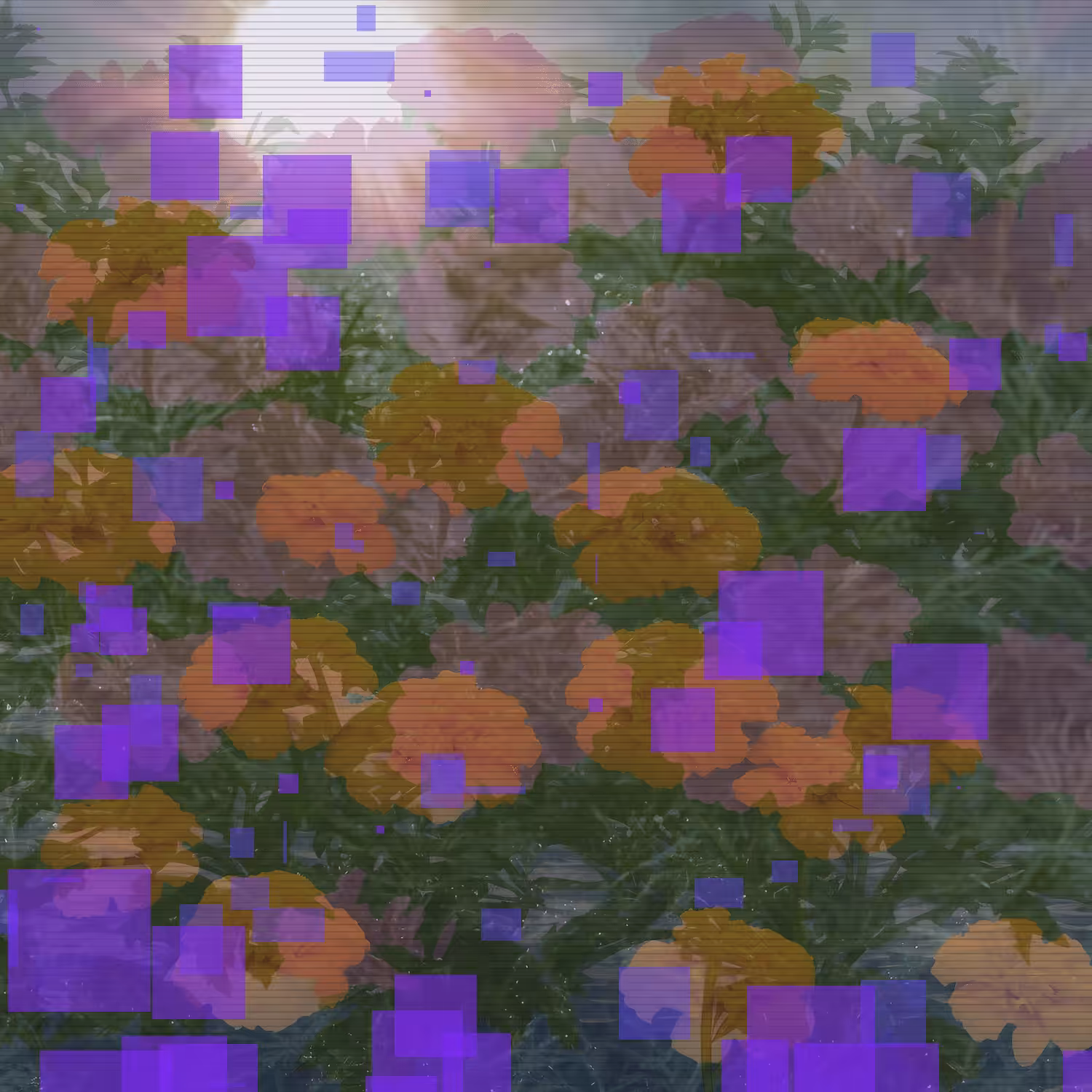 Marigolds #12