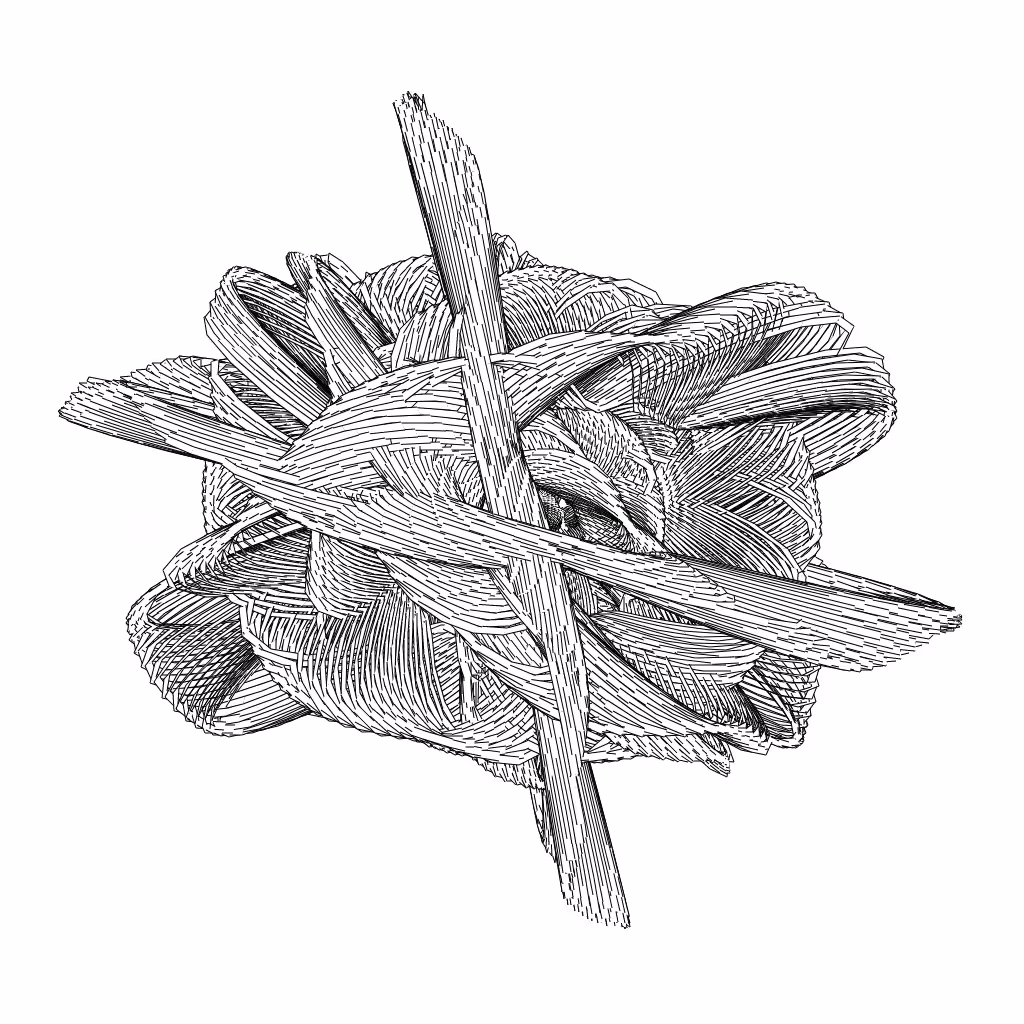 LL21 Entangled (3) #560