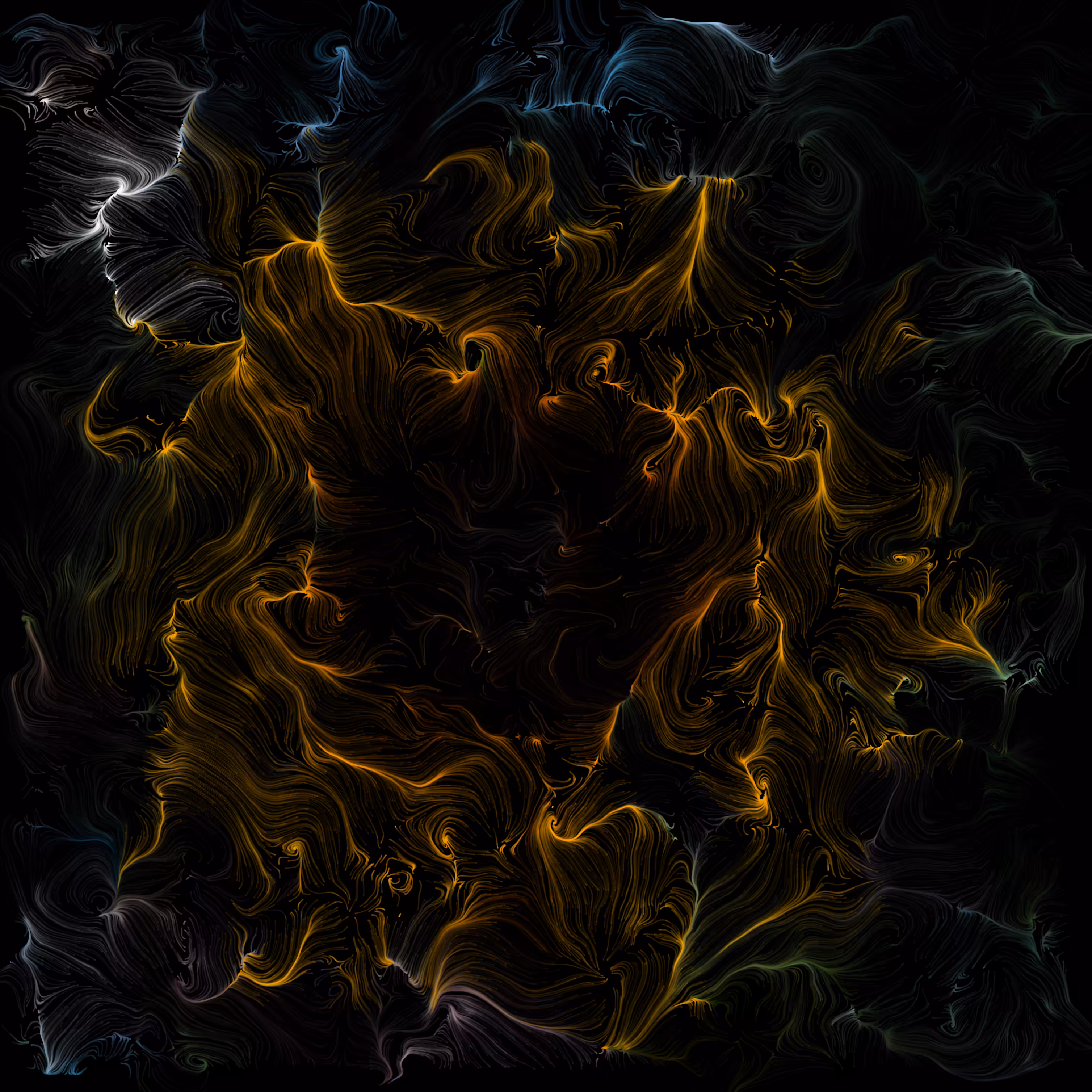 midnight flower 1