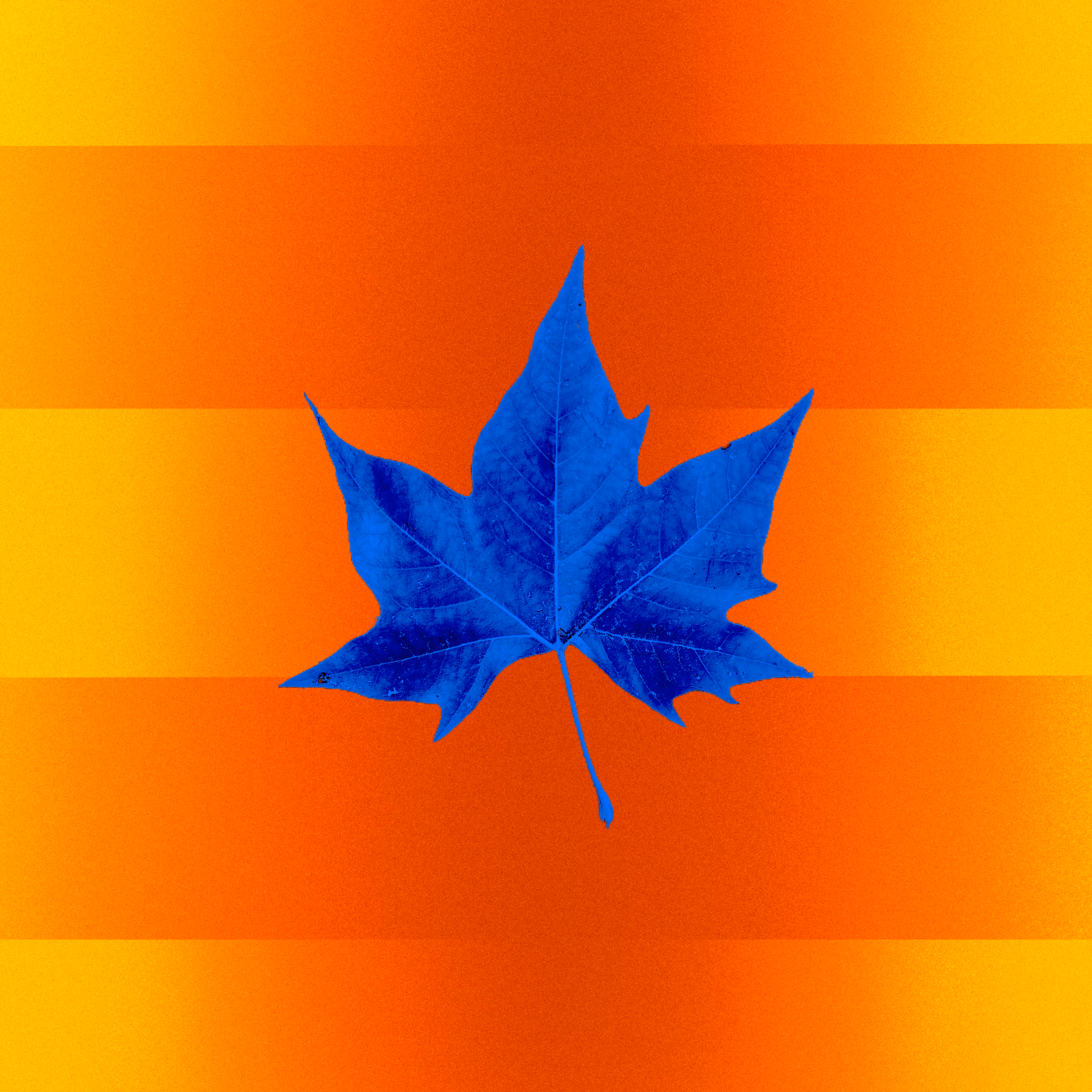 Organic Series - LEAVES Part. II