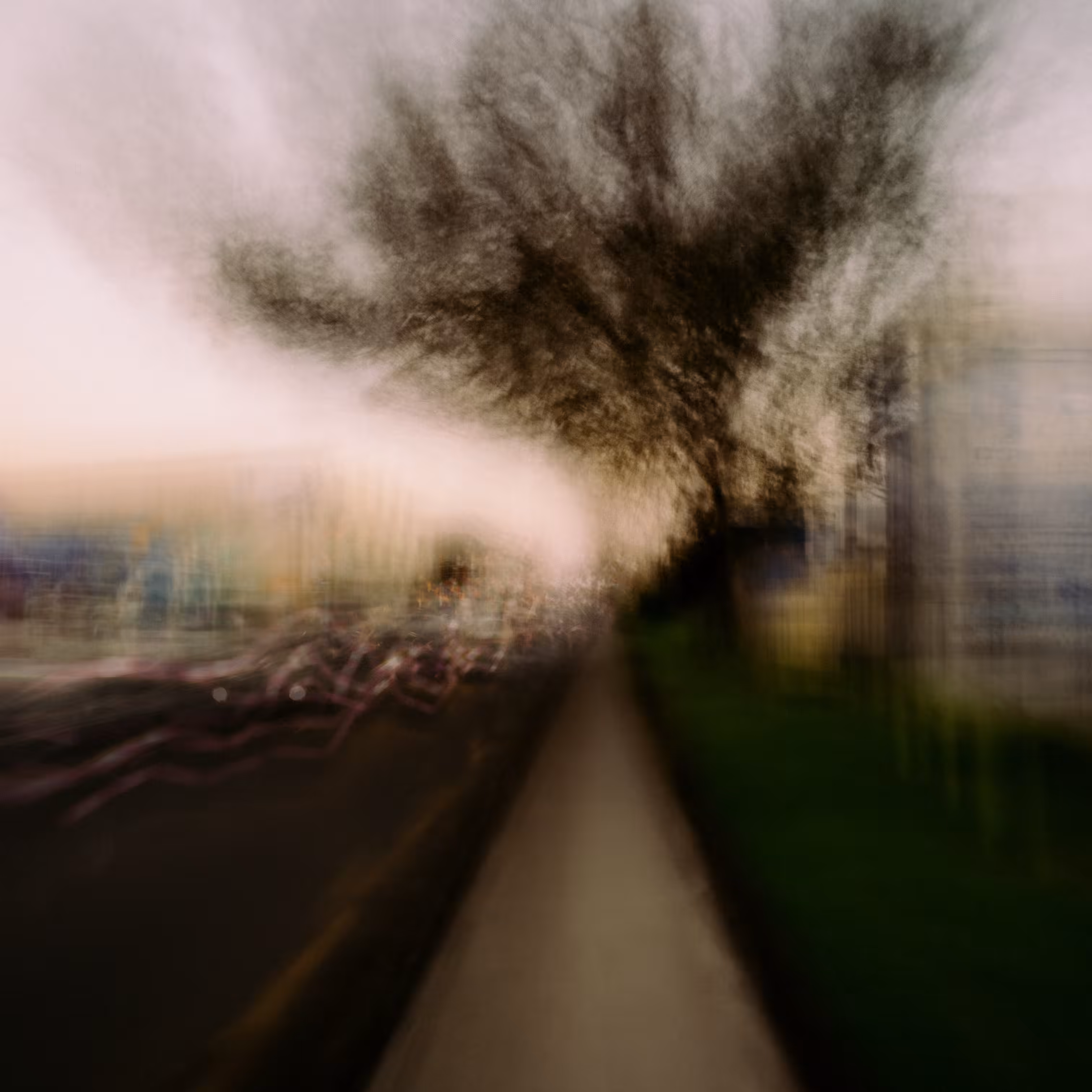 Race