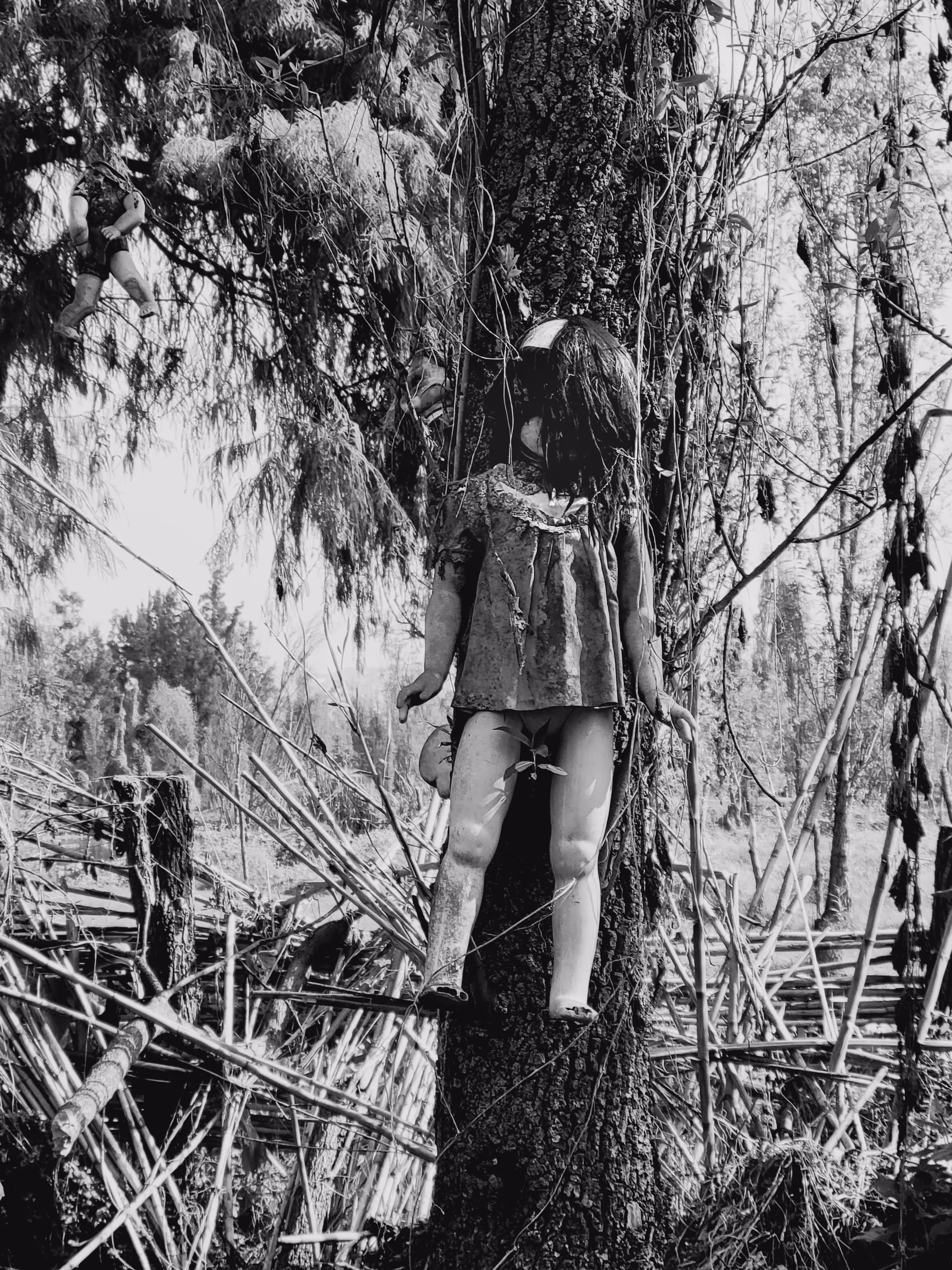 Island of the Dead Dolls 3