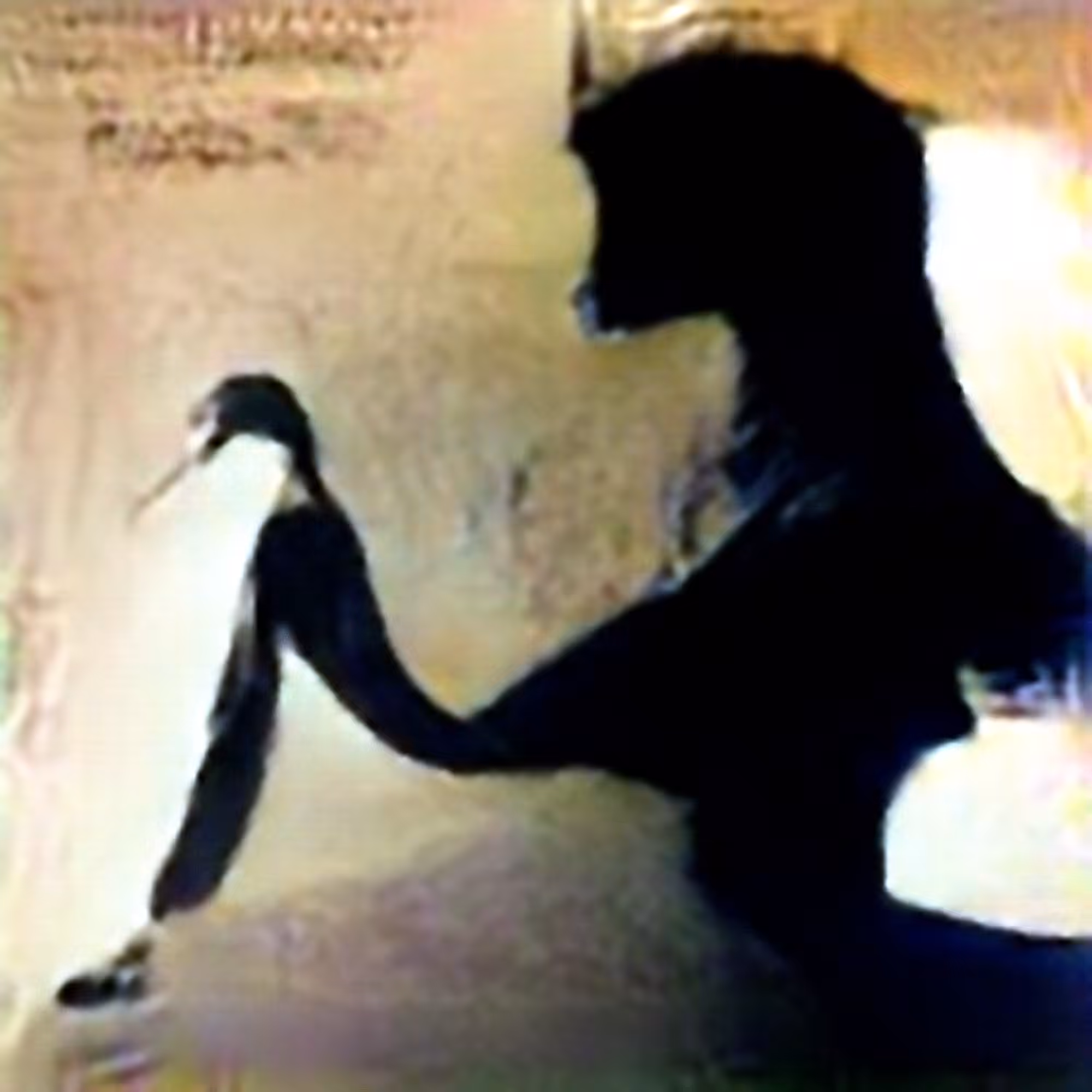 Evolved Hallucinations: Shadow #9 (Corpus: Things That Exist Negatively)