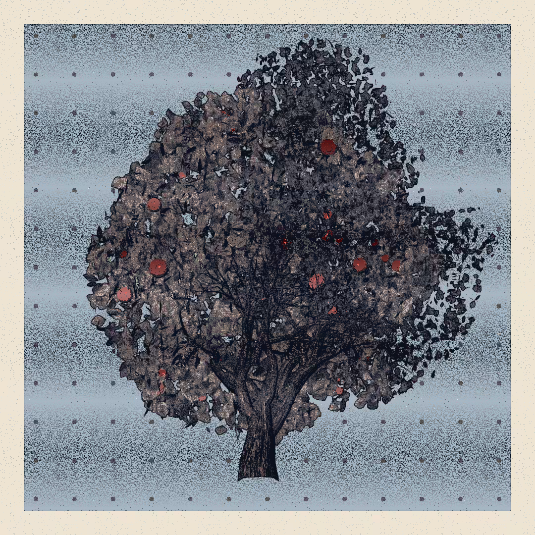 _argania[primaria] #260