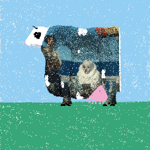 cow #14
