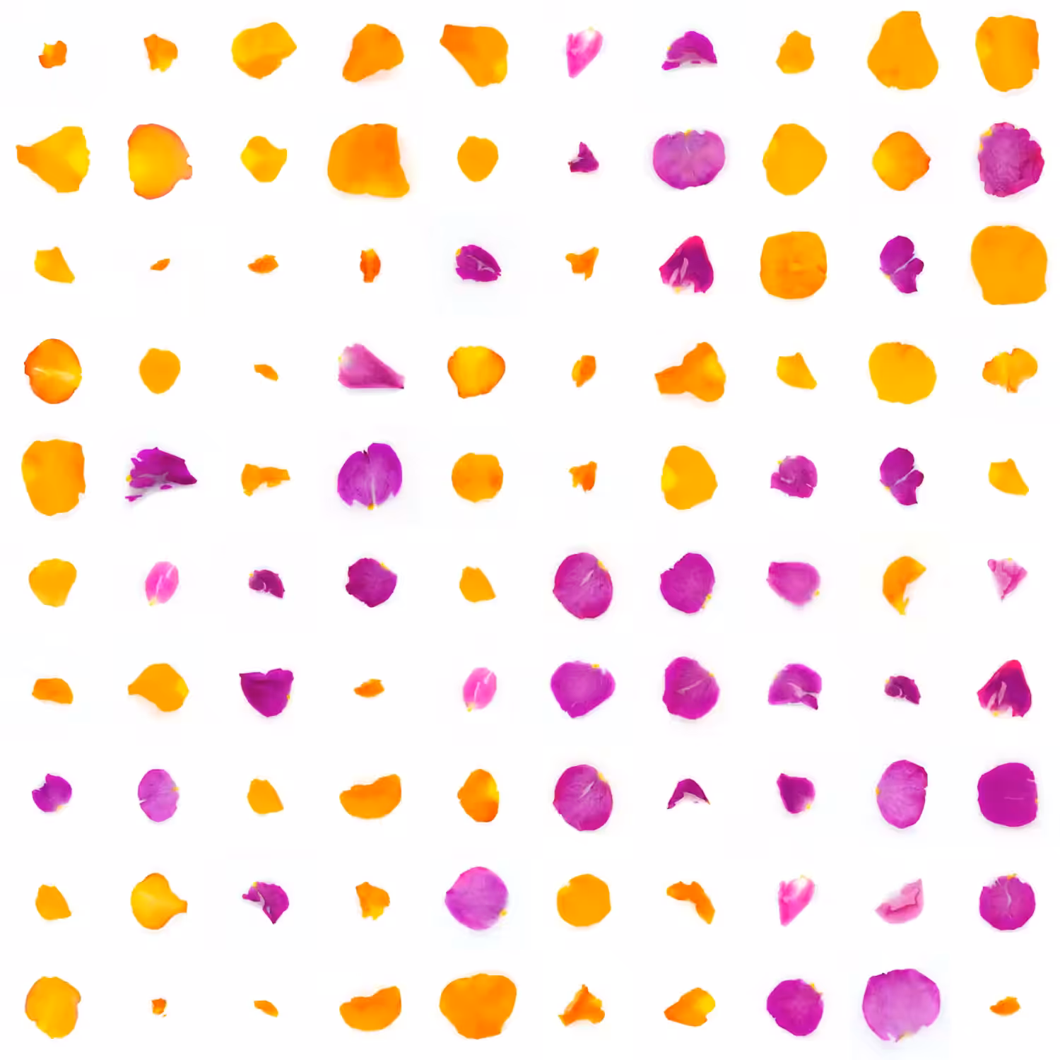Infinite Petals 10x10#1380