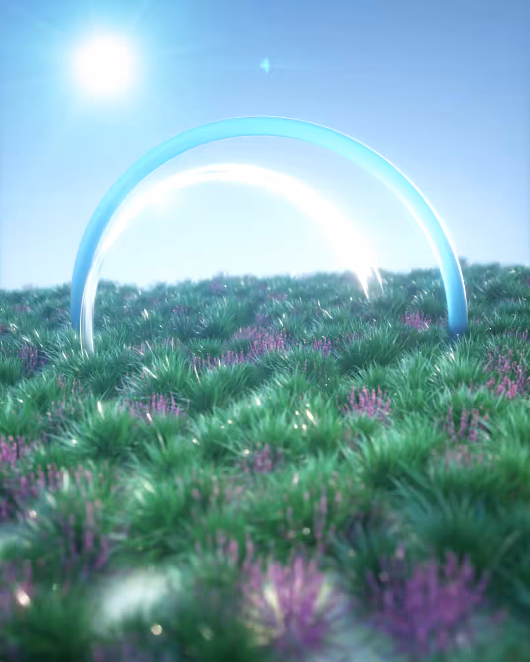 The Bubble