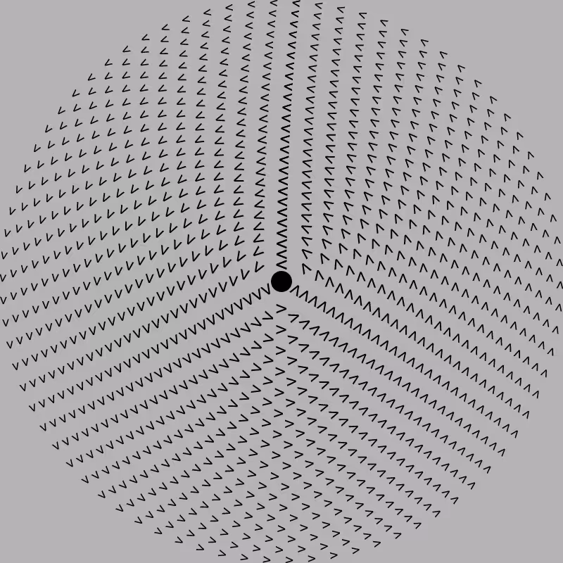 Dizzy Wheel #8