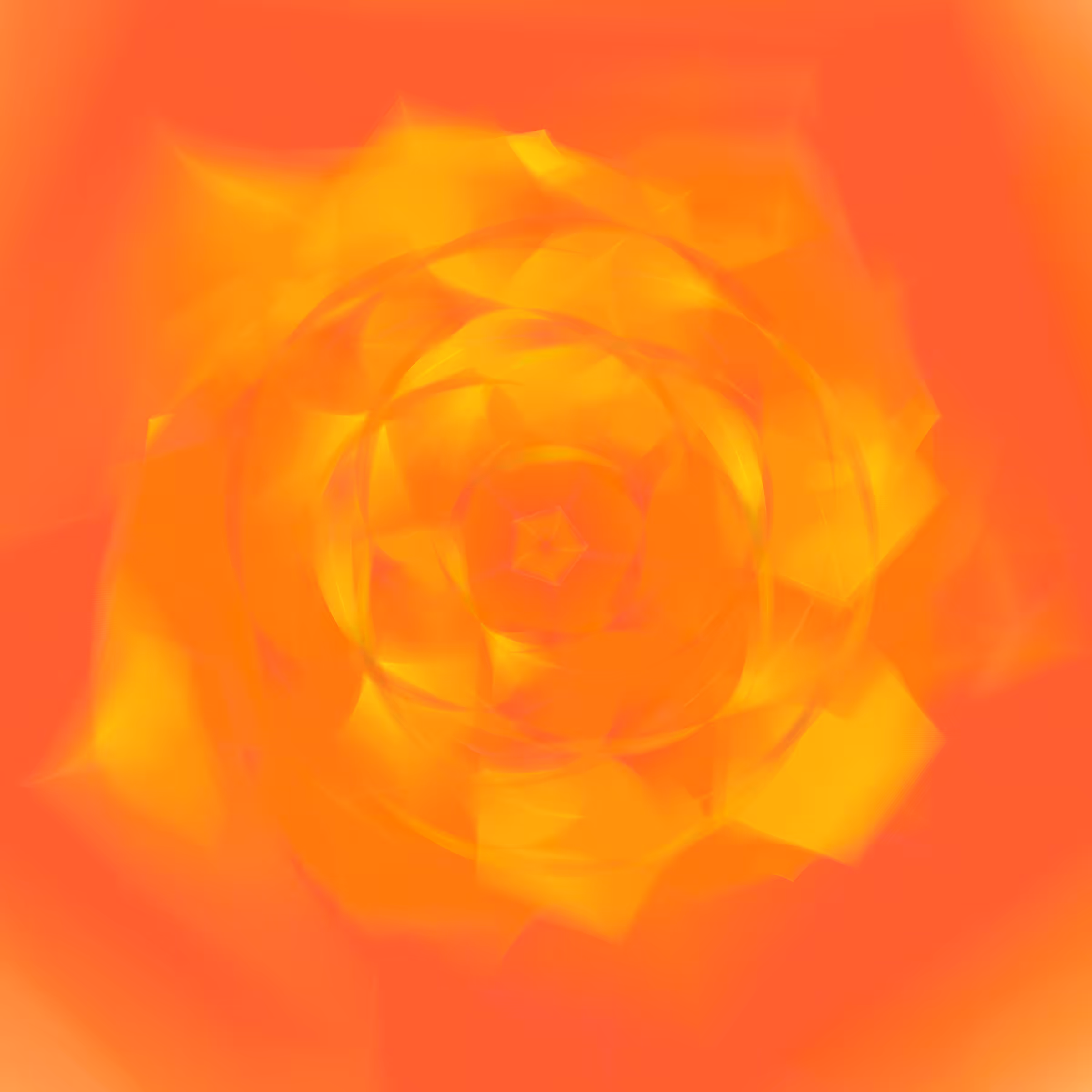 Rotor #167