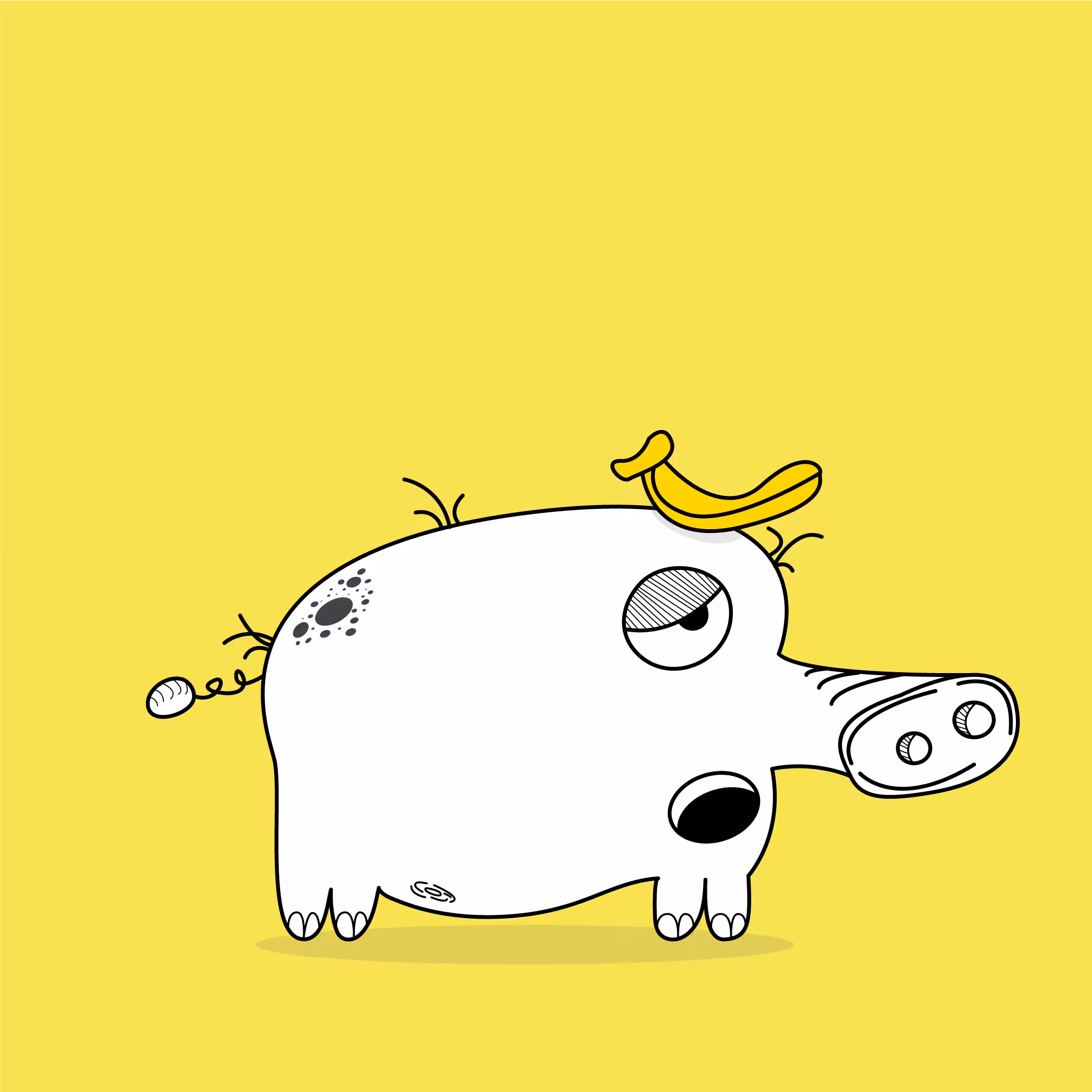 Lazy Pig #1