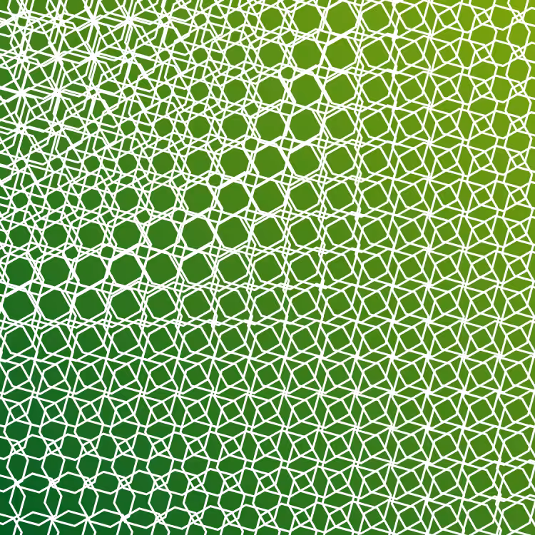 bilinearInterpolationTwist #80