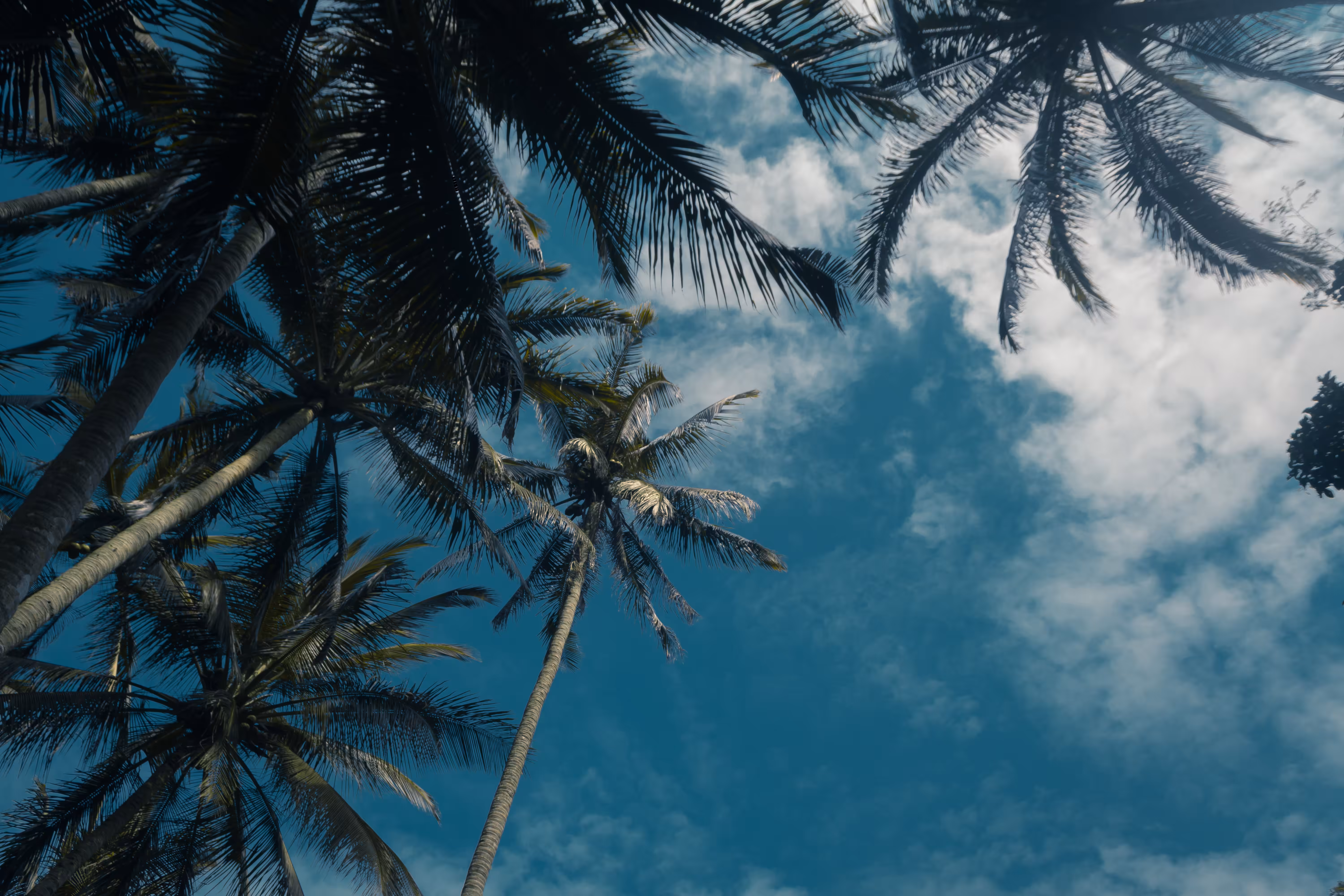 Look up