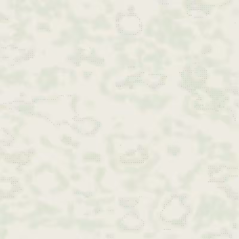 Petri 1500 v2 QHD  #1048