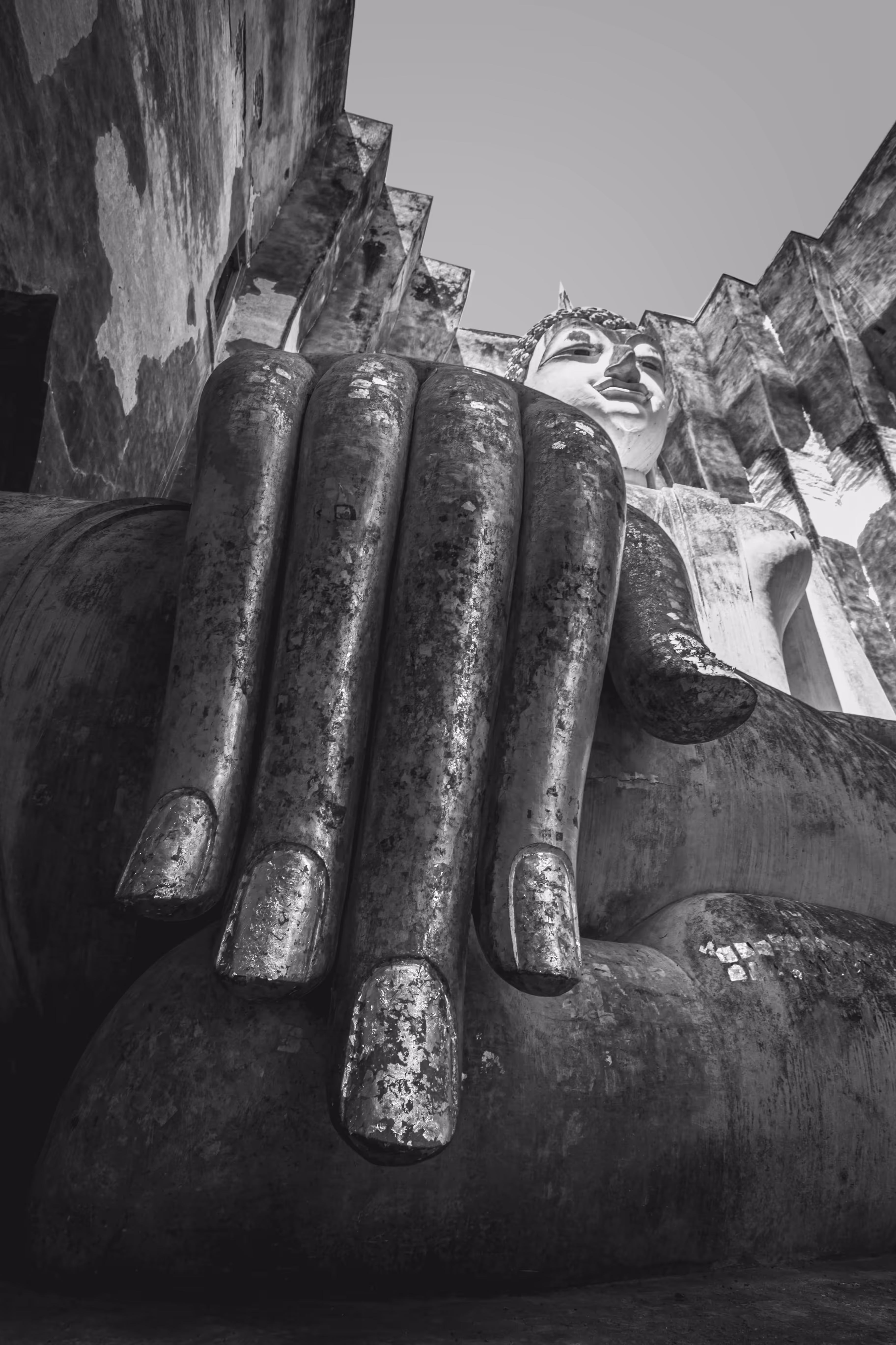 Hand of Buddha.