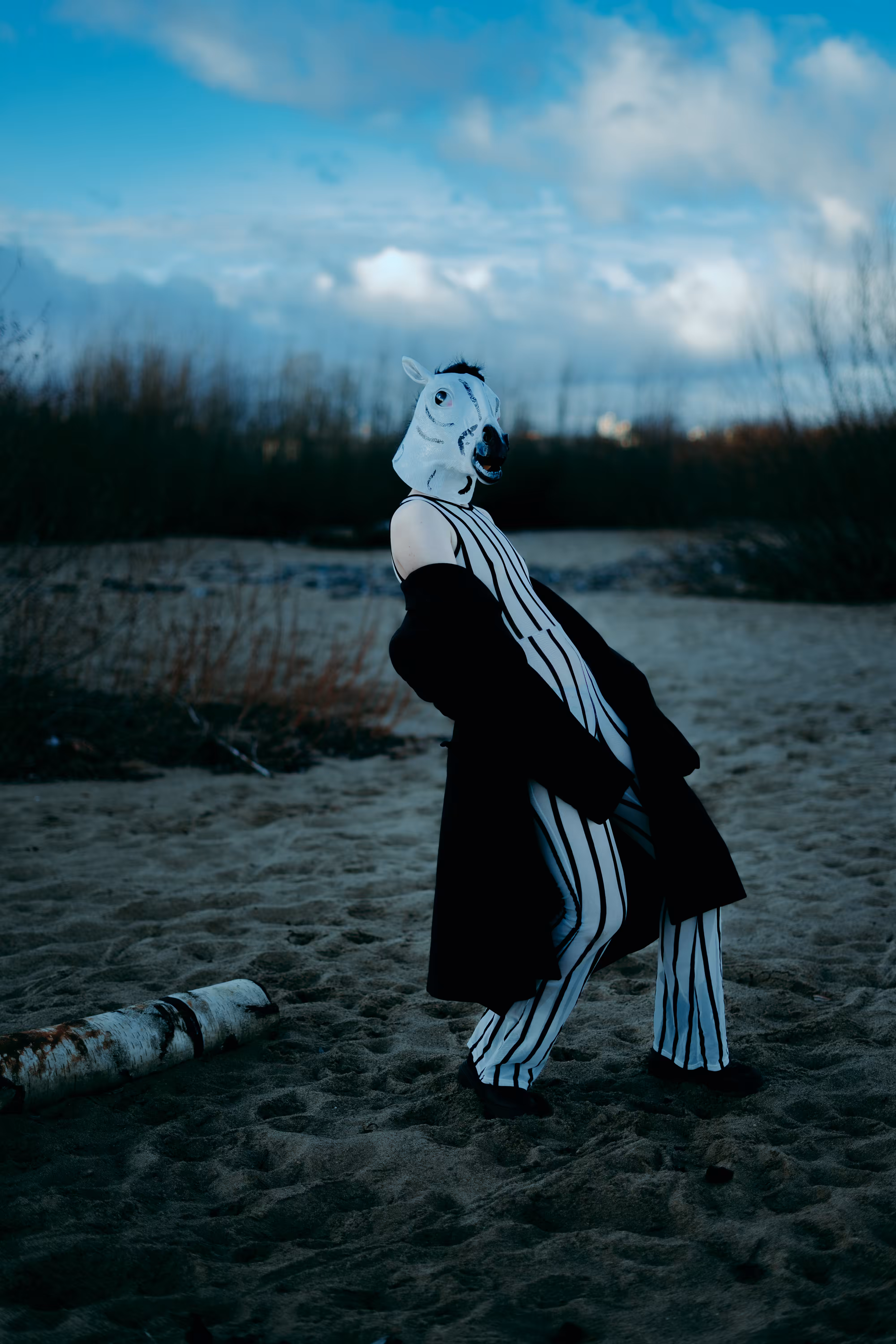 Rodeo posts: zebra3