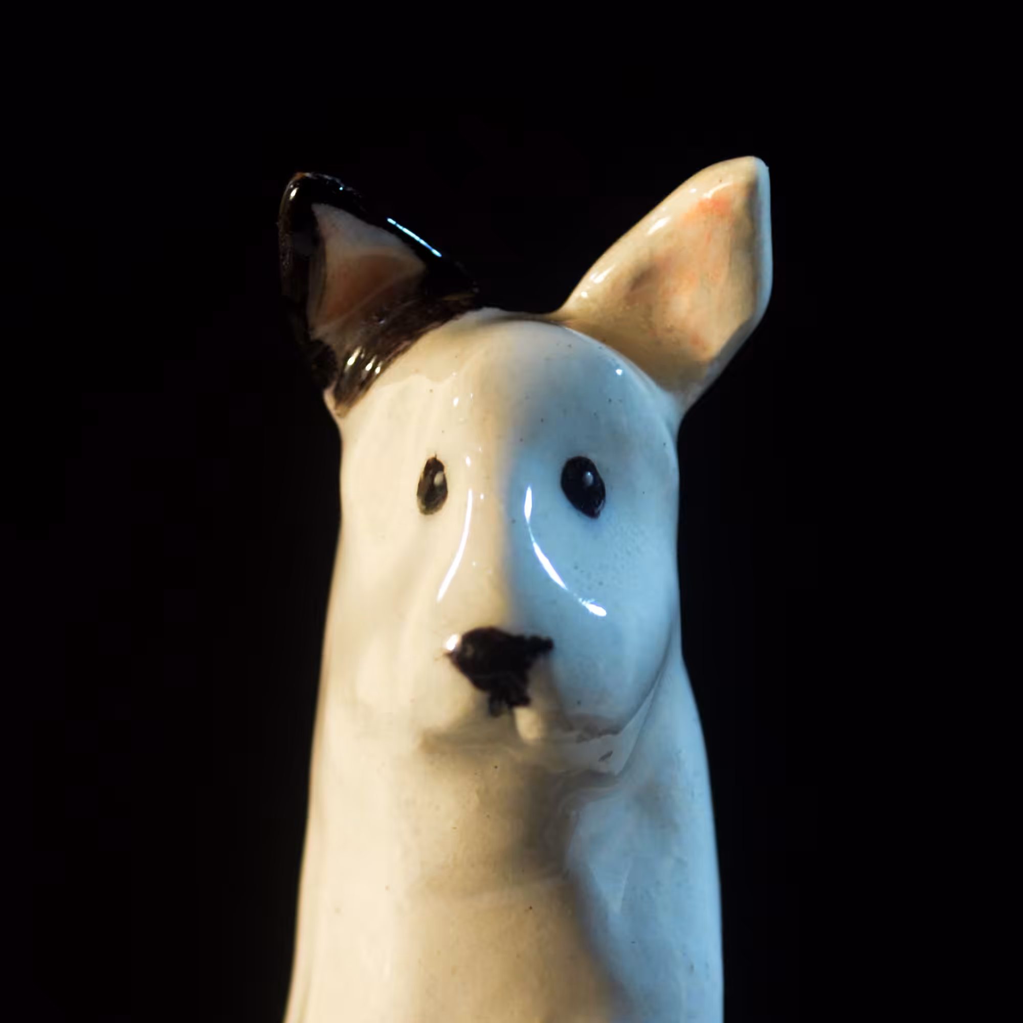 pfpup#0046