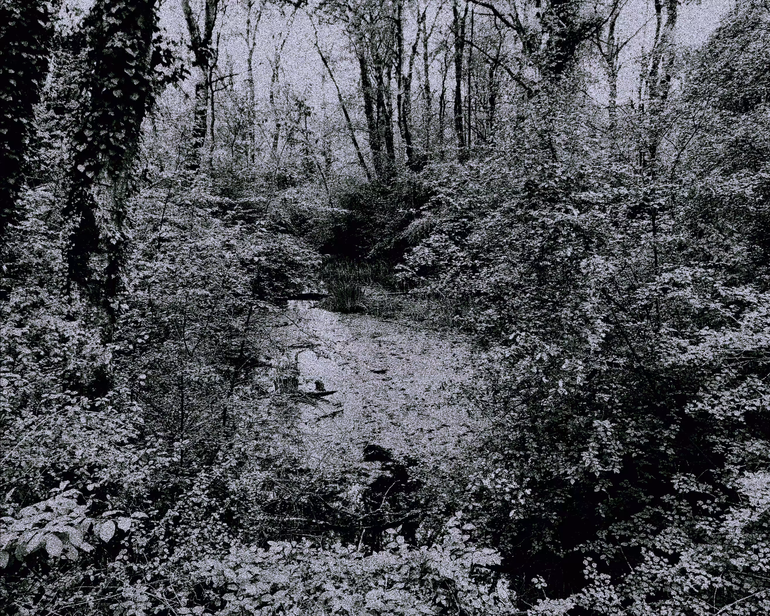Small Swamp