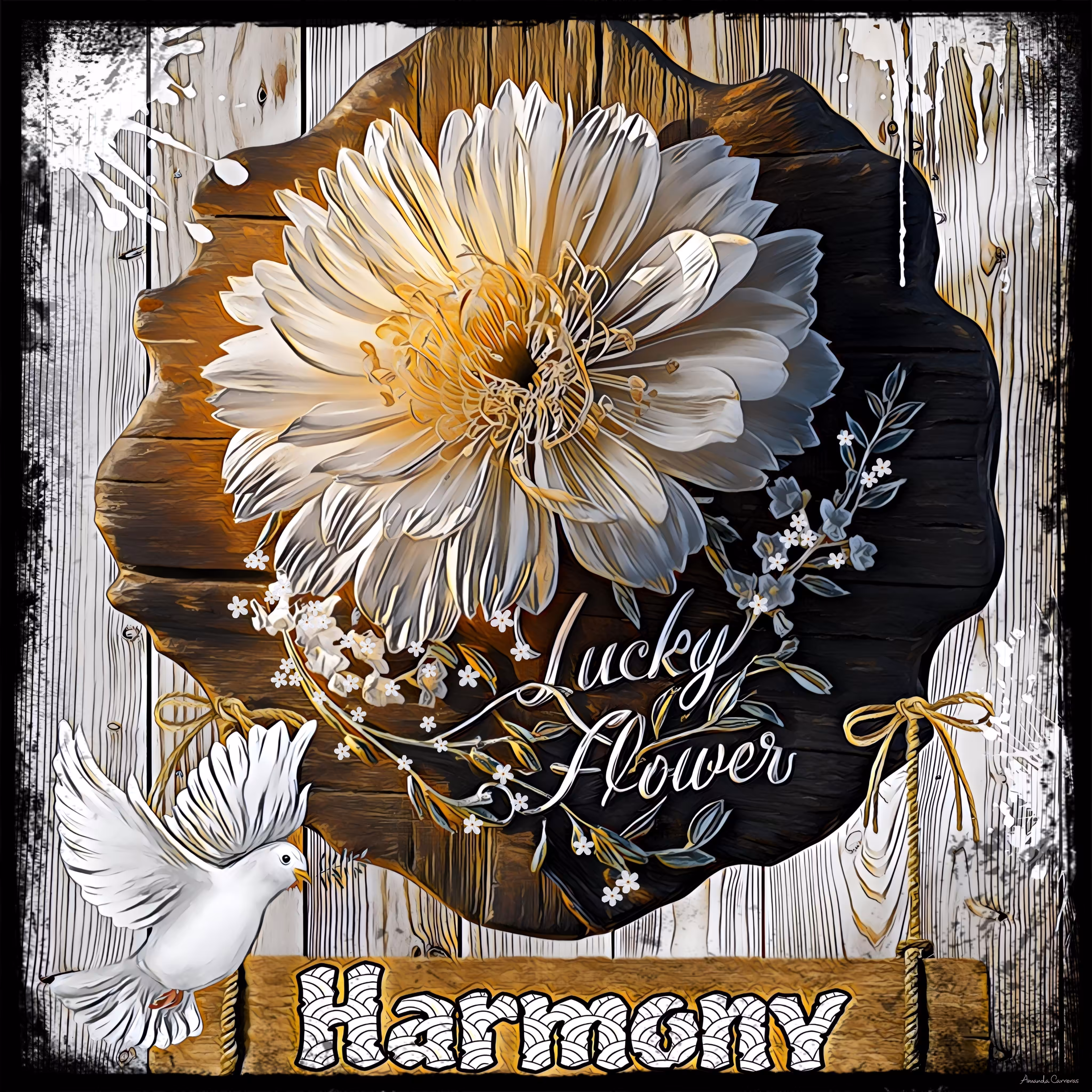 Harmony 