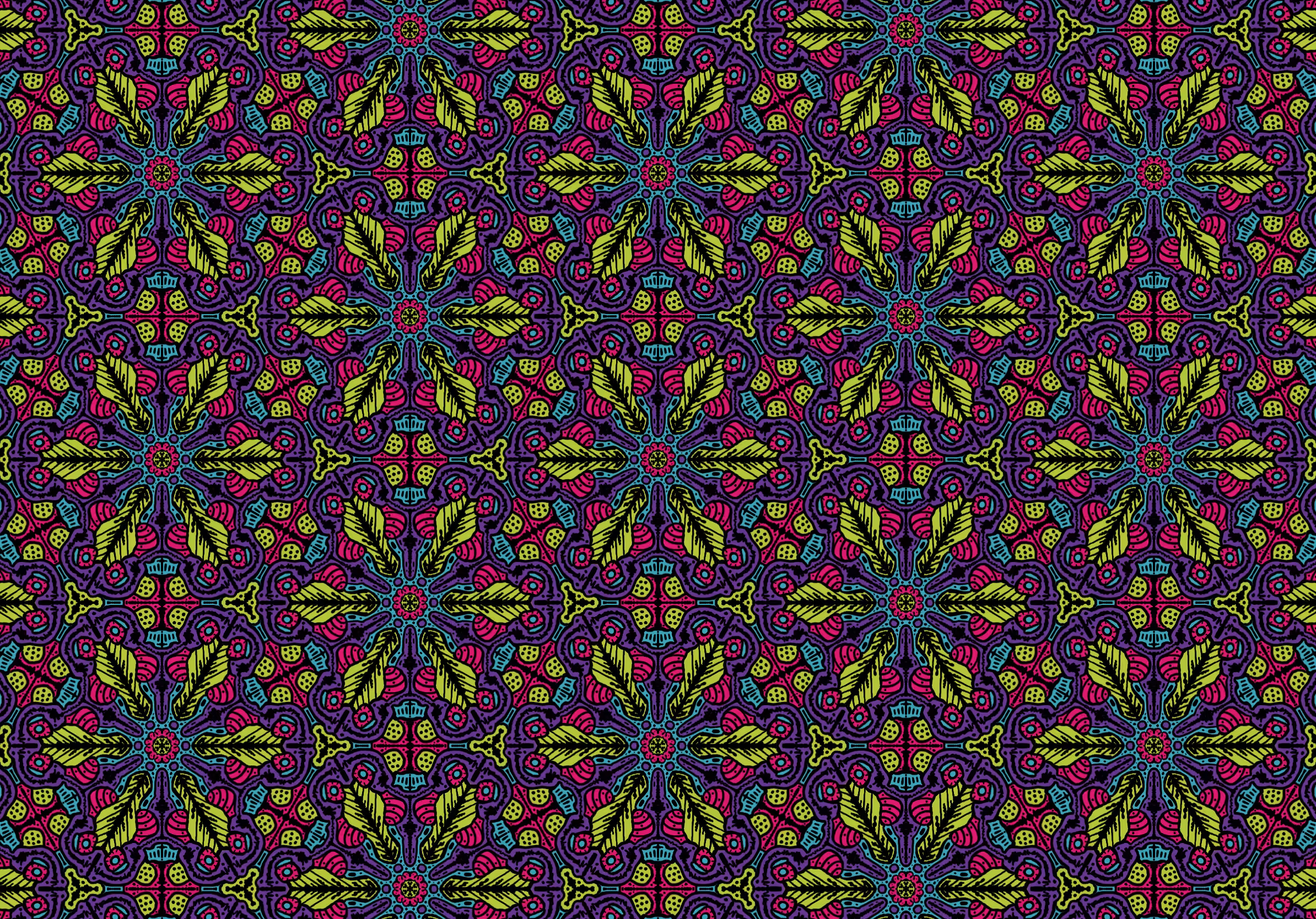 Naopifractus 003