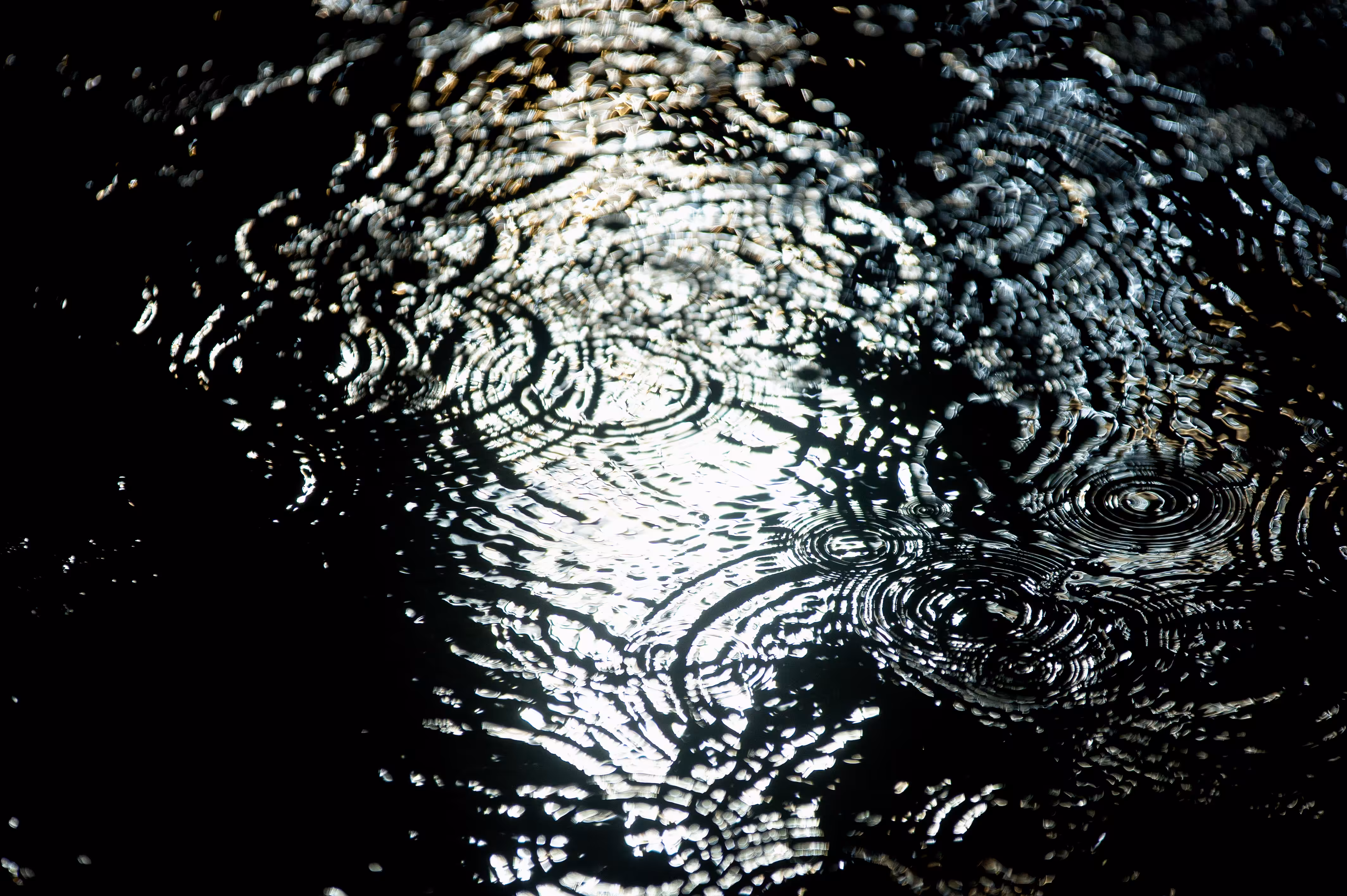 Raining Life
