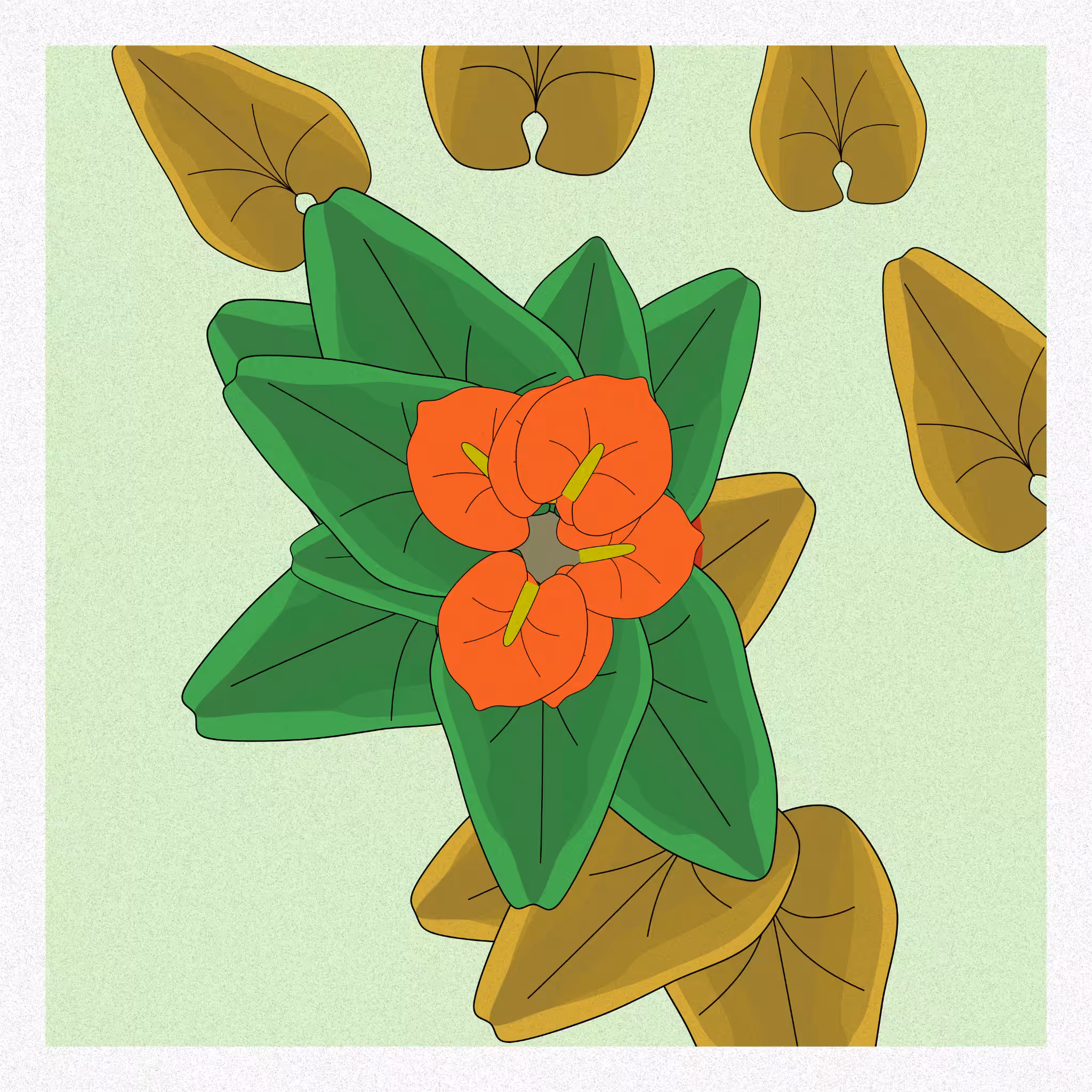 Flowers #105