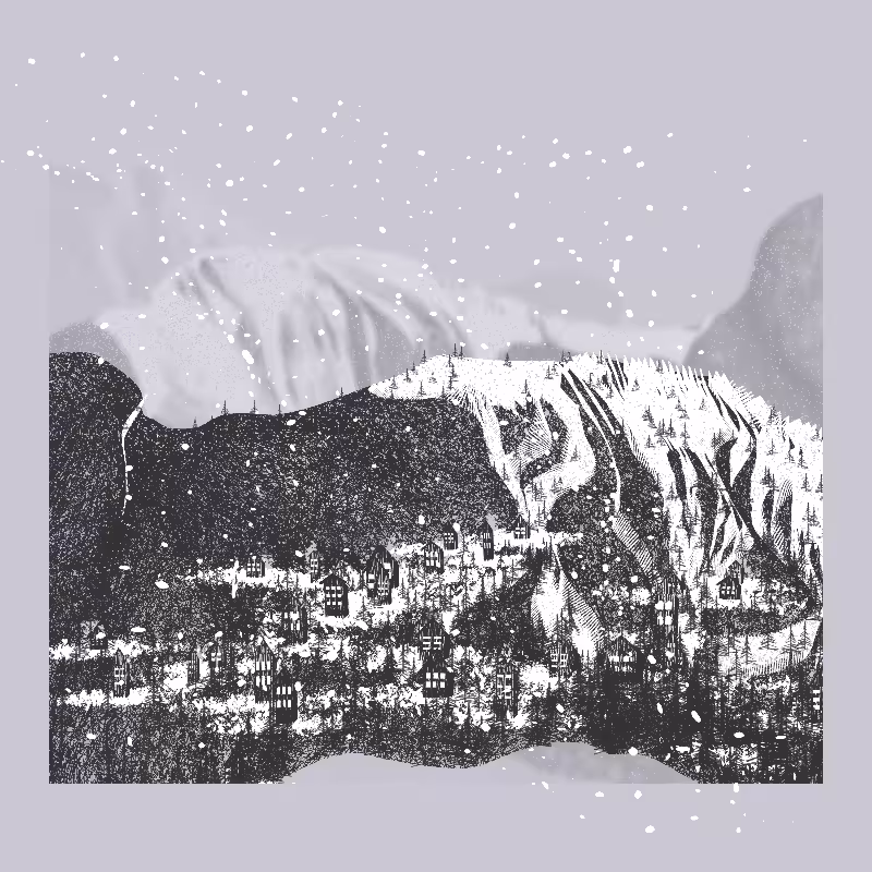 White Mountain Winter #111