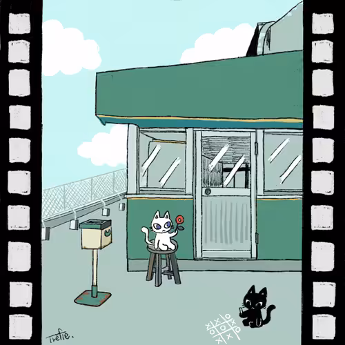 Travelng cats.rooftop