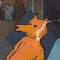Crypto Pig
