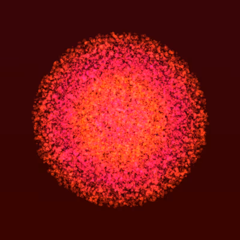 Coalesce #146