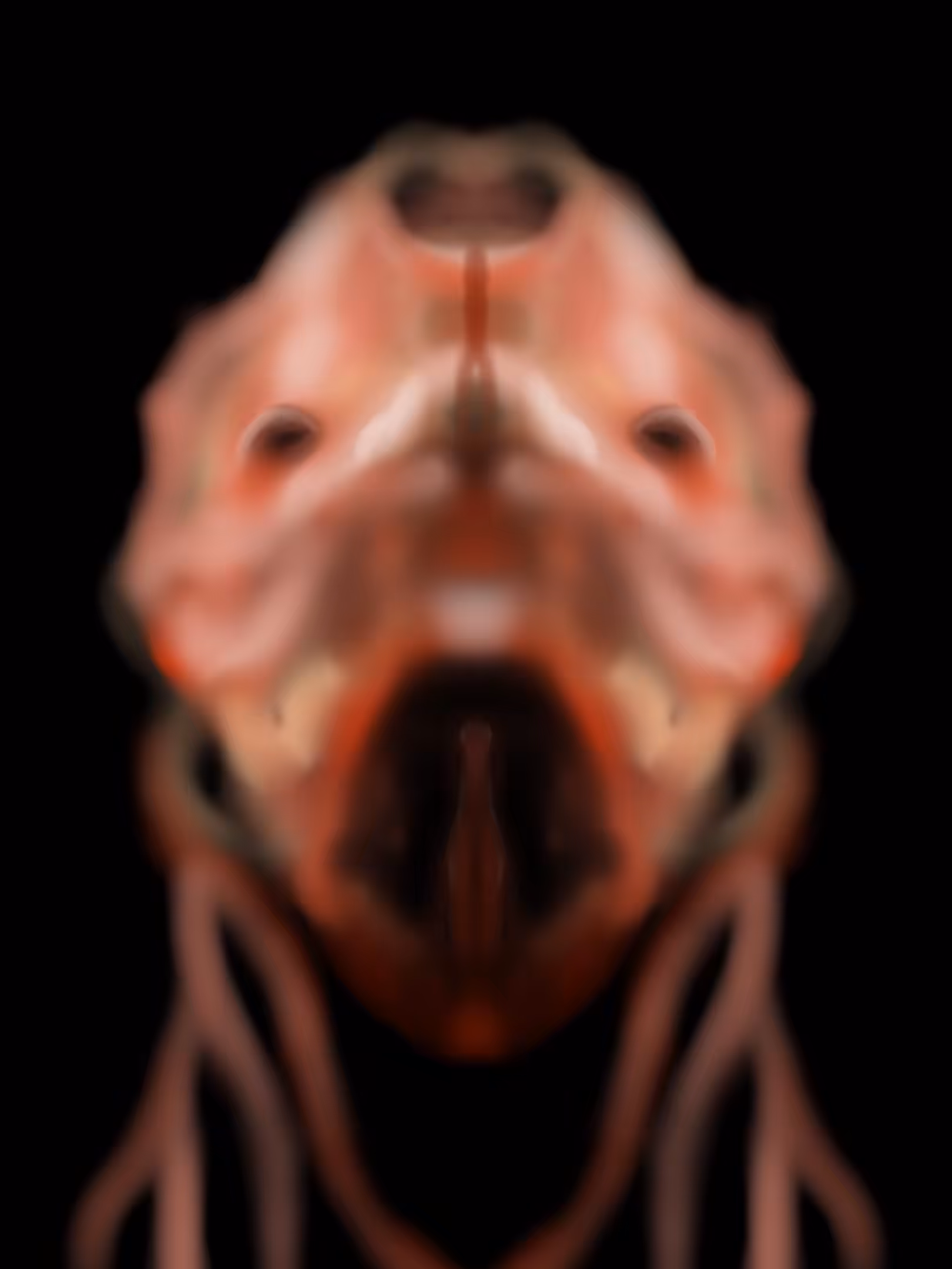 Organism