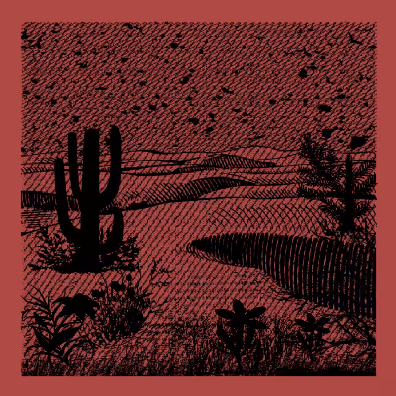 The Endless Desert #8
