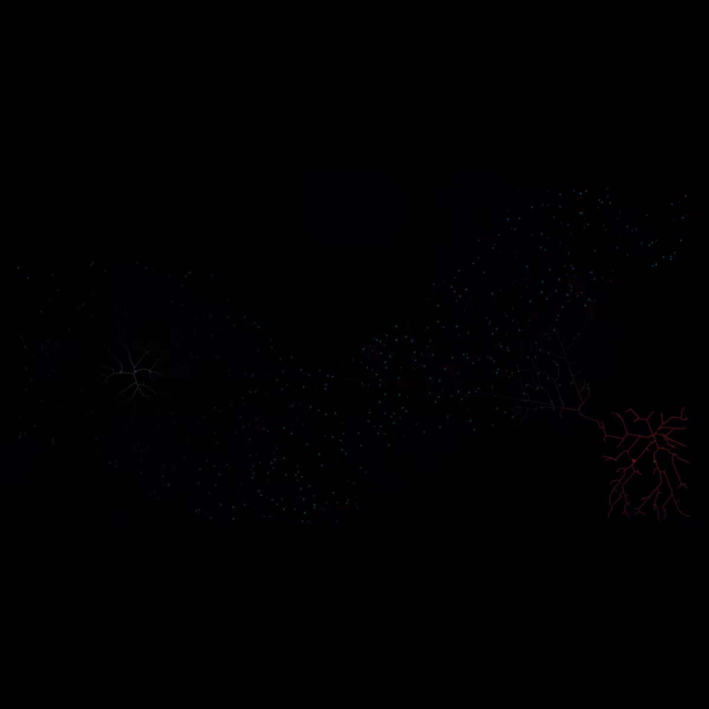 Frontline: Inscription #72948284