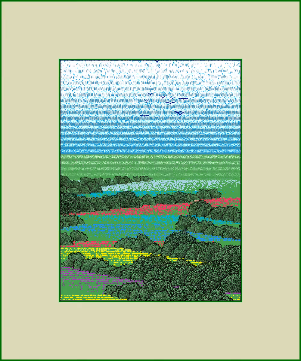 Fields of flowers #17