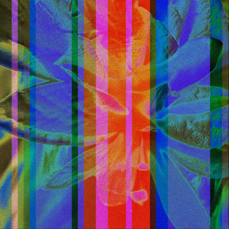 CLDCSMC #44