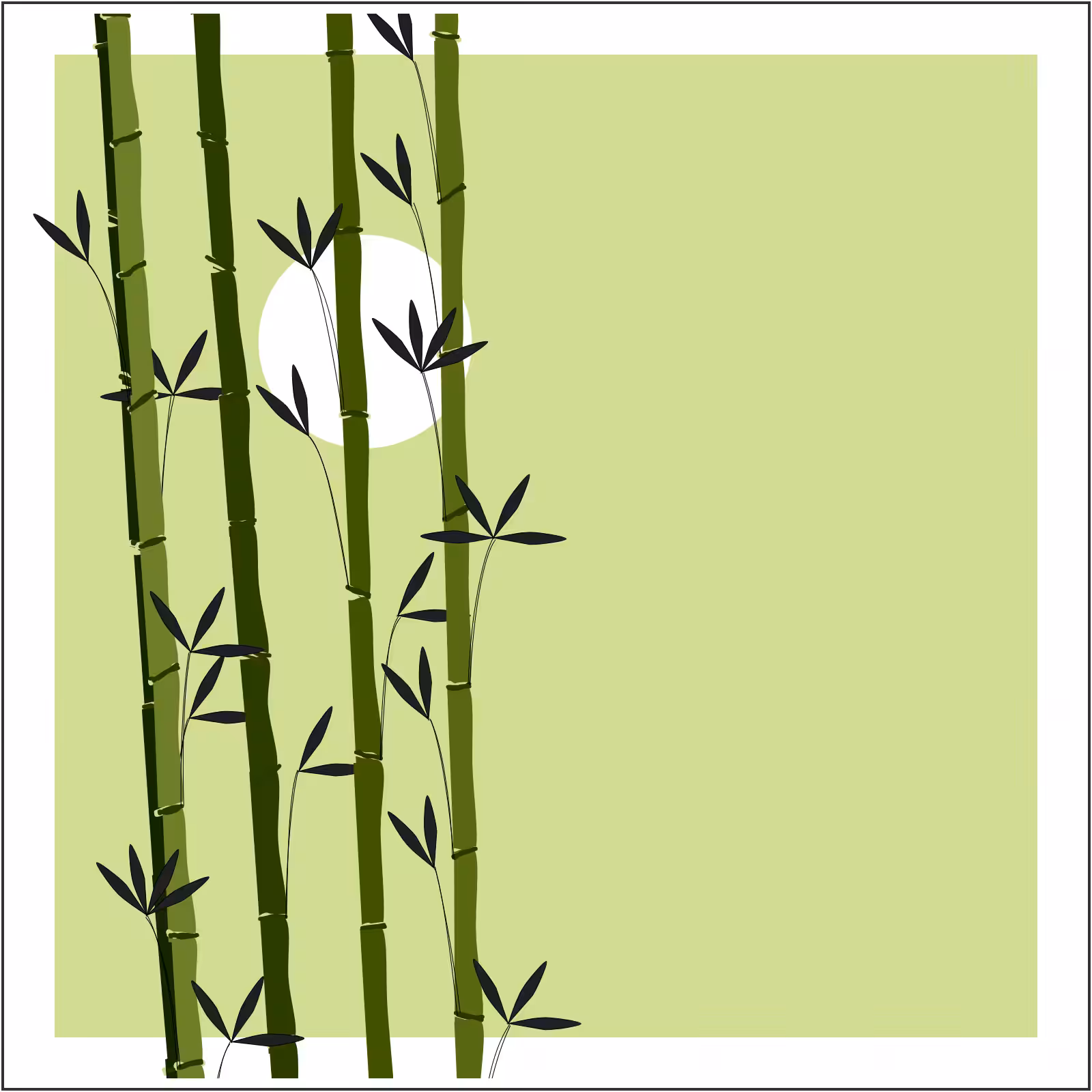 Bamboo and Beyond #2