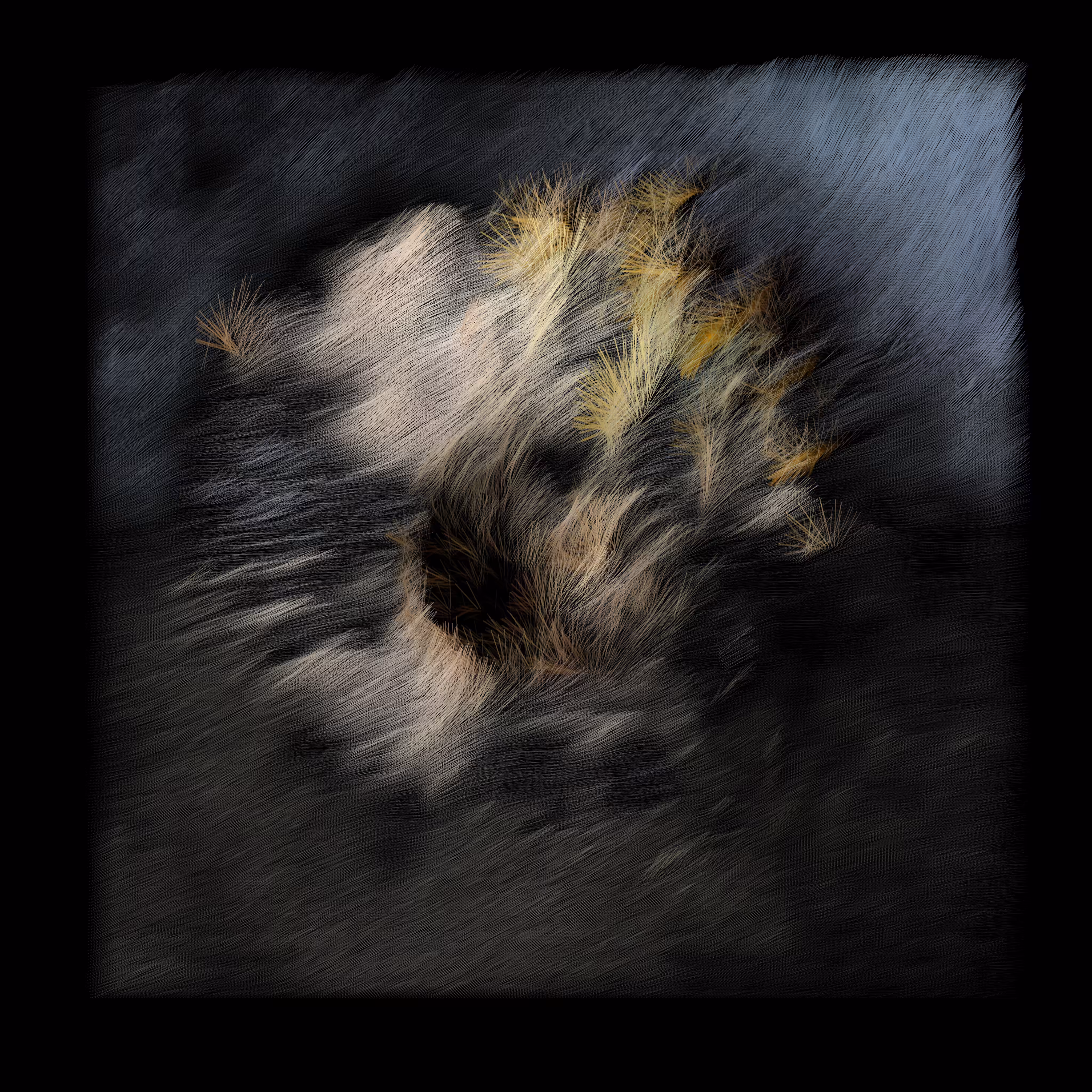 Dandelion (b63o,m,5853,4-21,1,5,18,9,12-c)