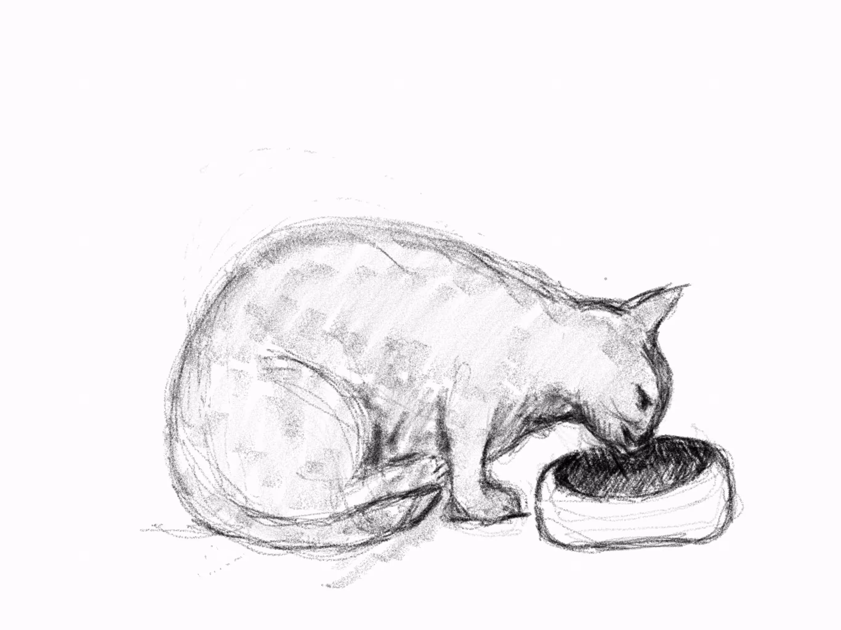 snack