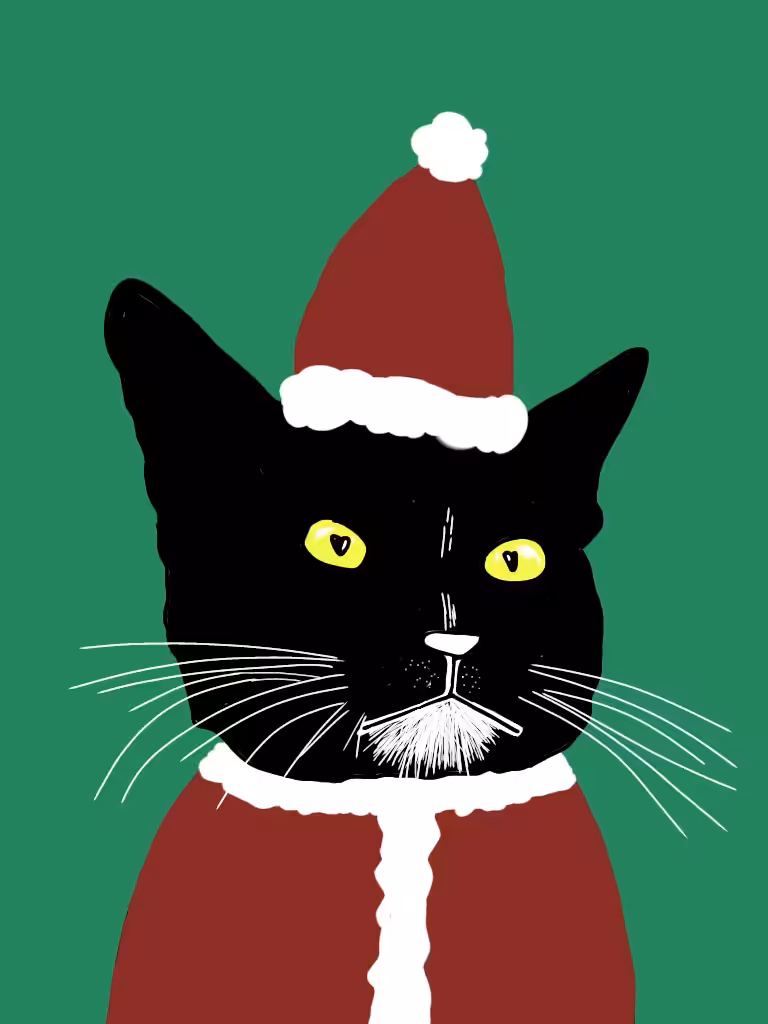 Cutter the cat CEO "Santa-Ter"