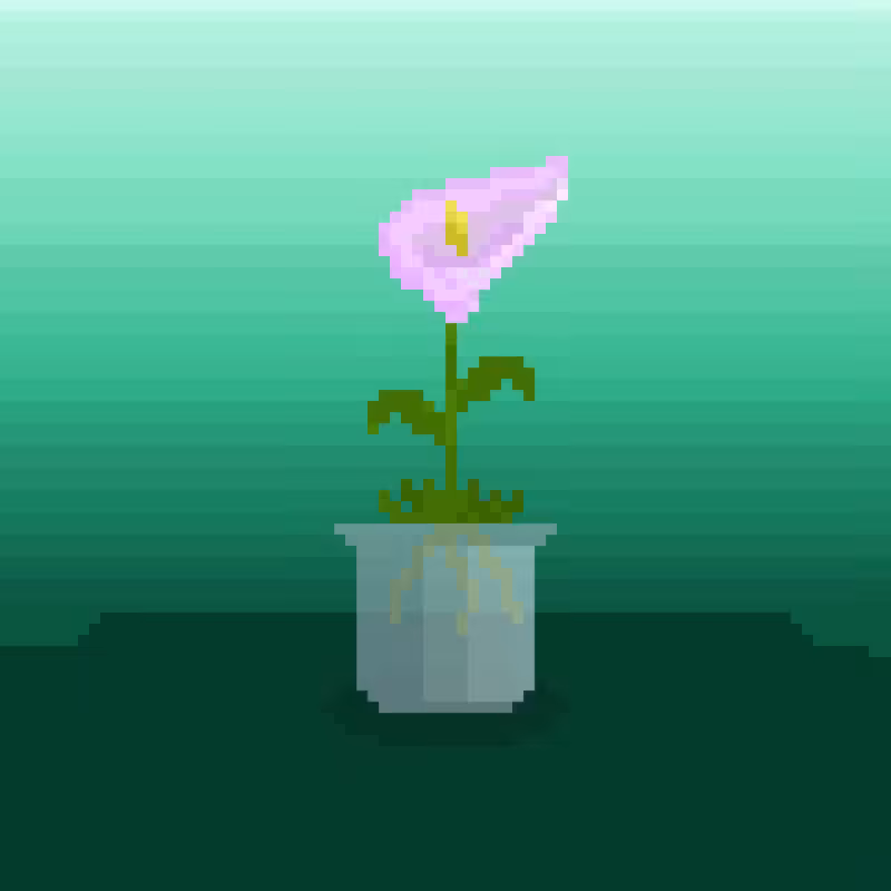 Nothing But Flowers #10