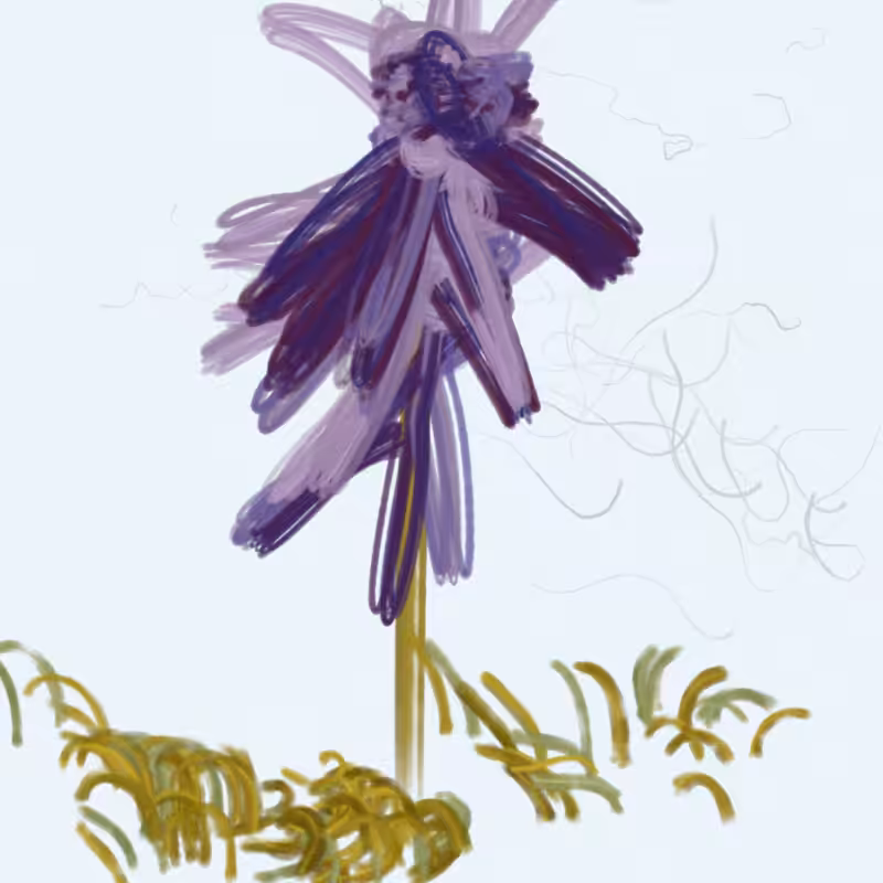 The Likeness of a Flower #171
