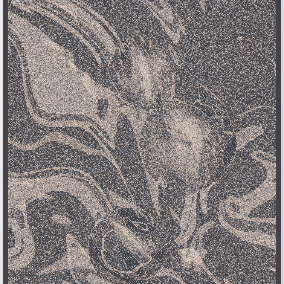 Caustics #155