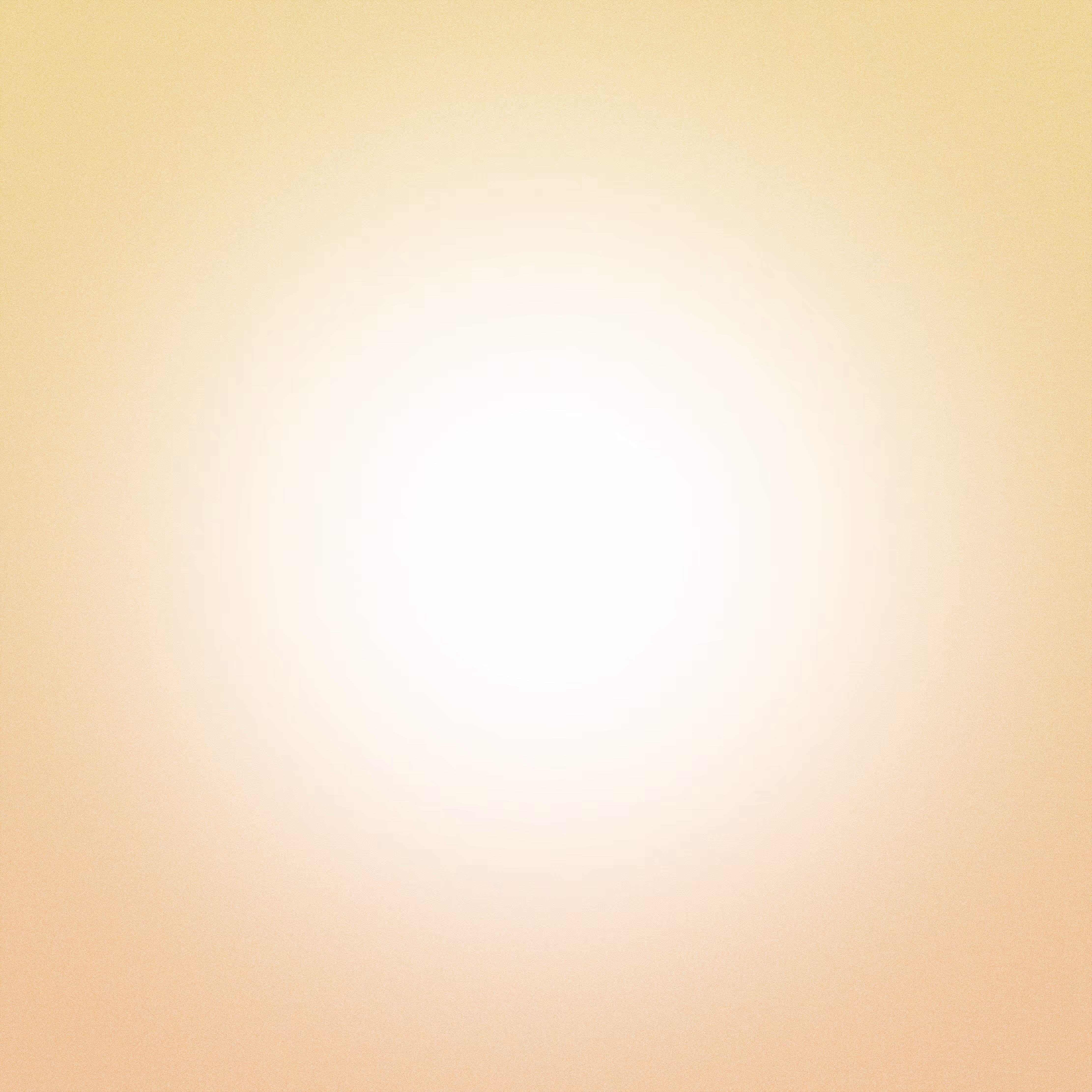 with the light 82