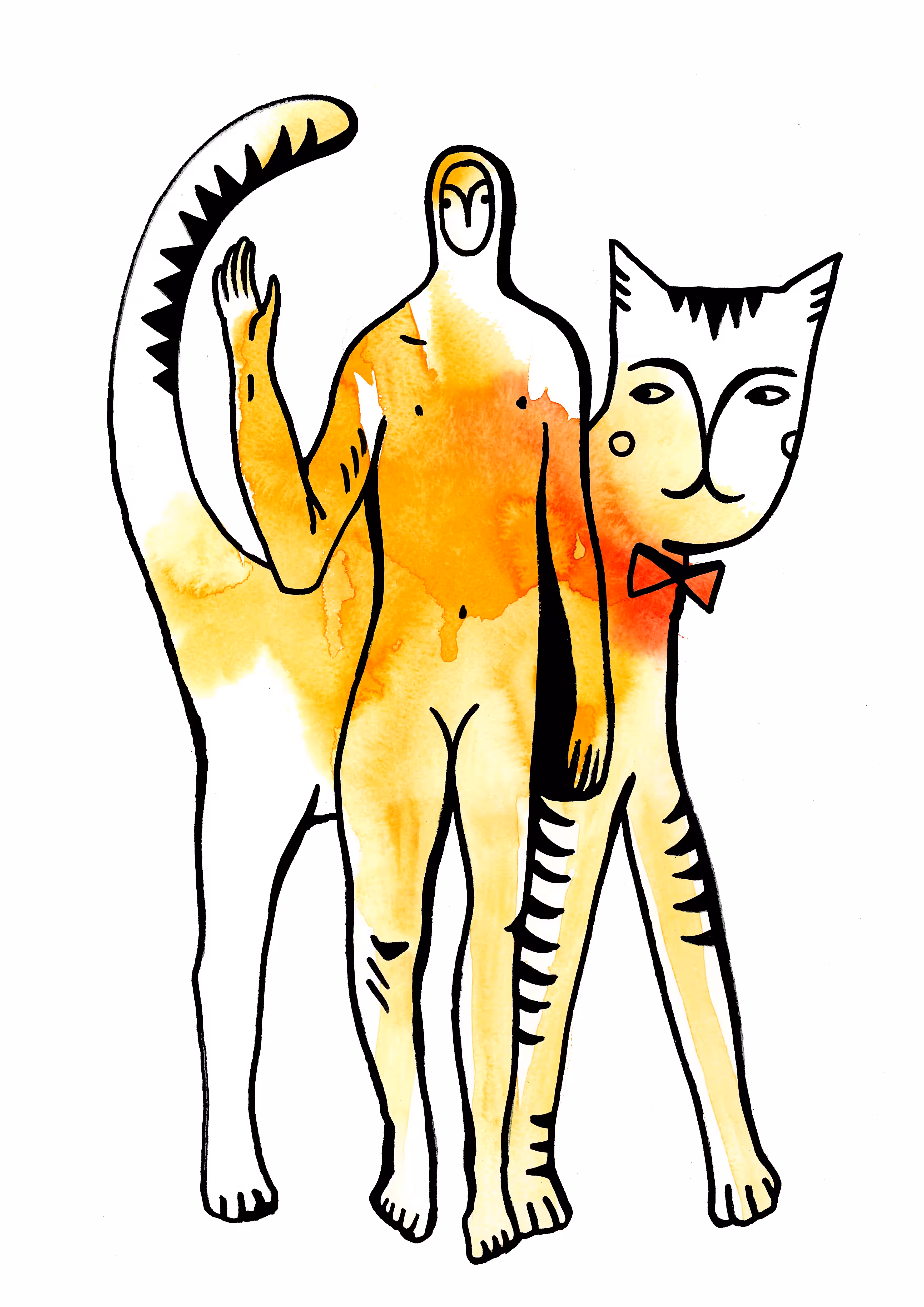 Travel with a cat