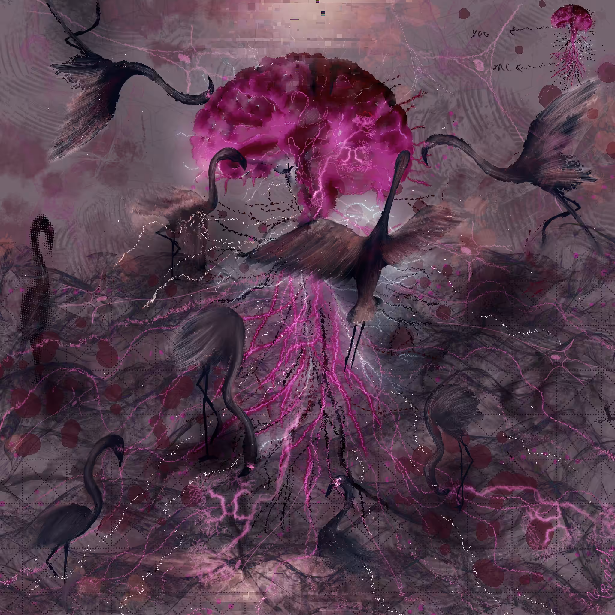 Pink Roots