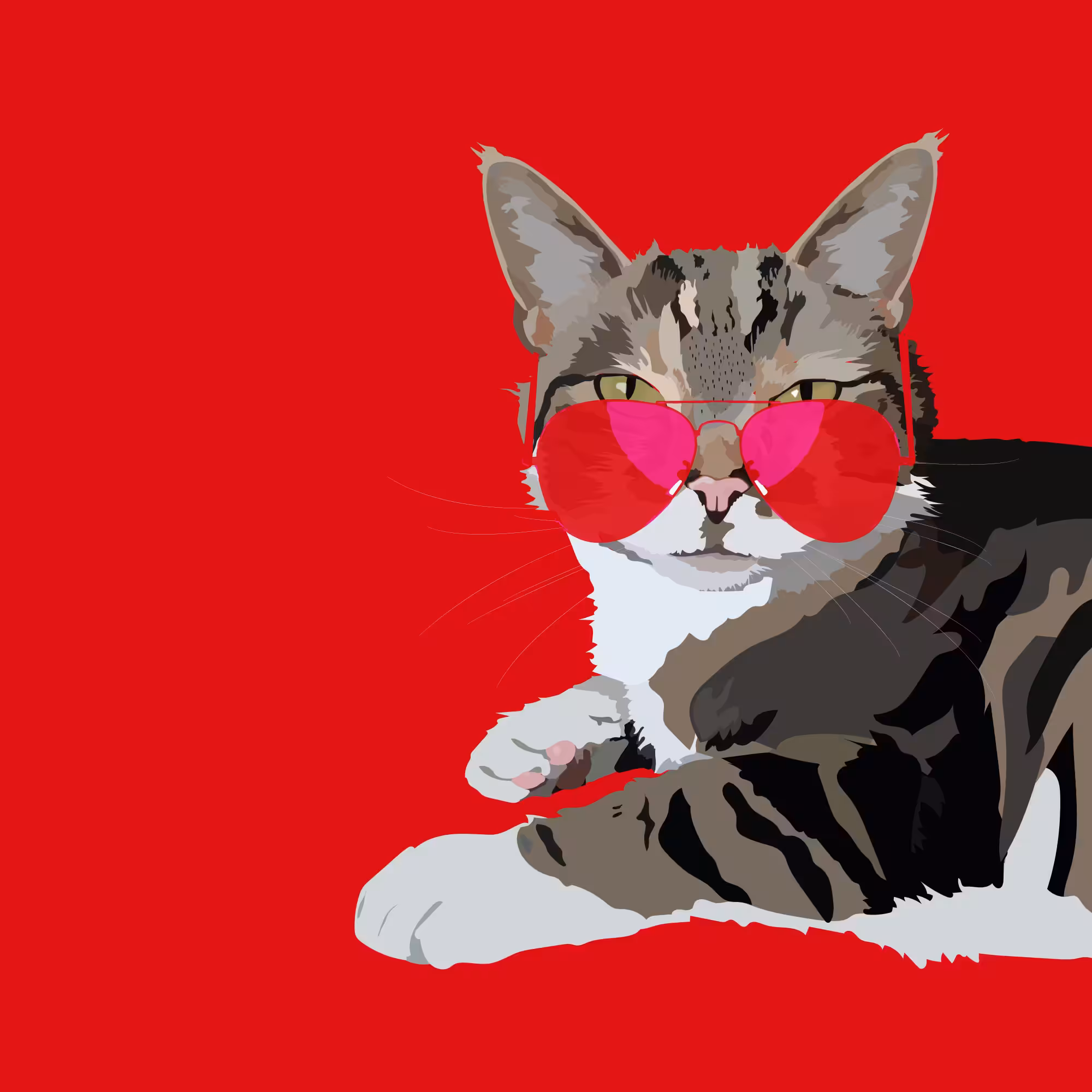 Too Cool for School Photogenic Cat