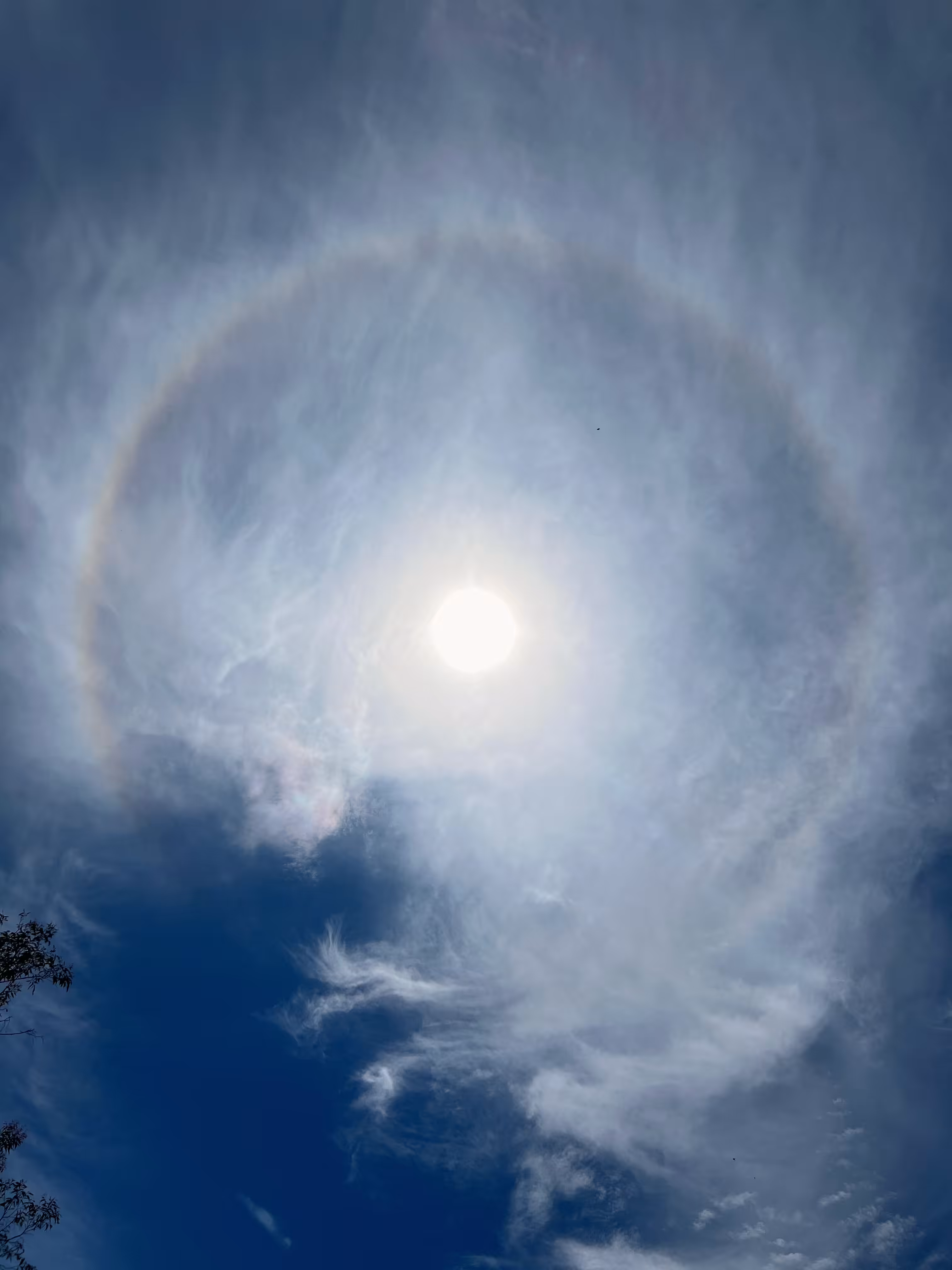 sun halo
