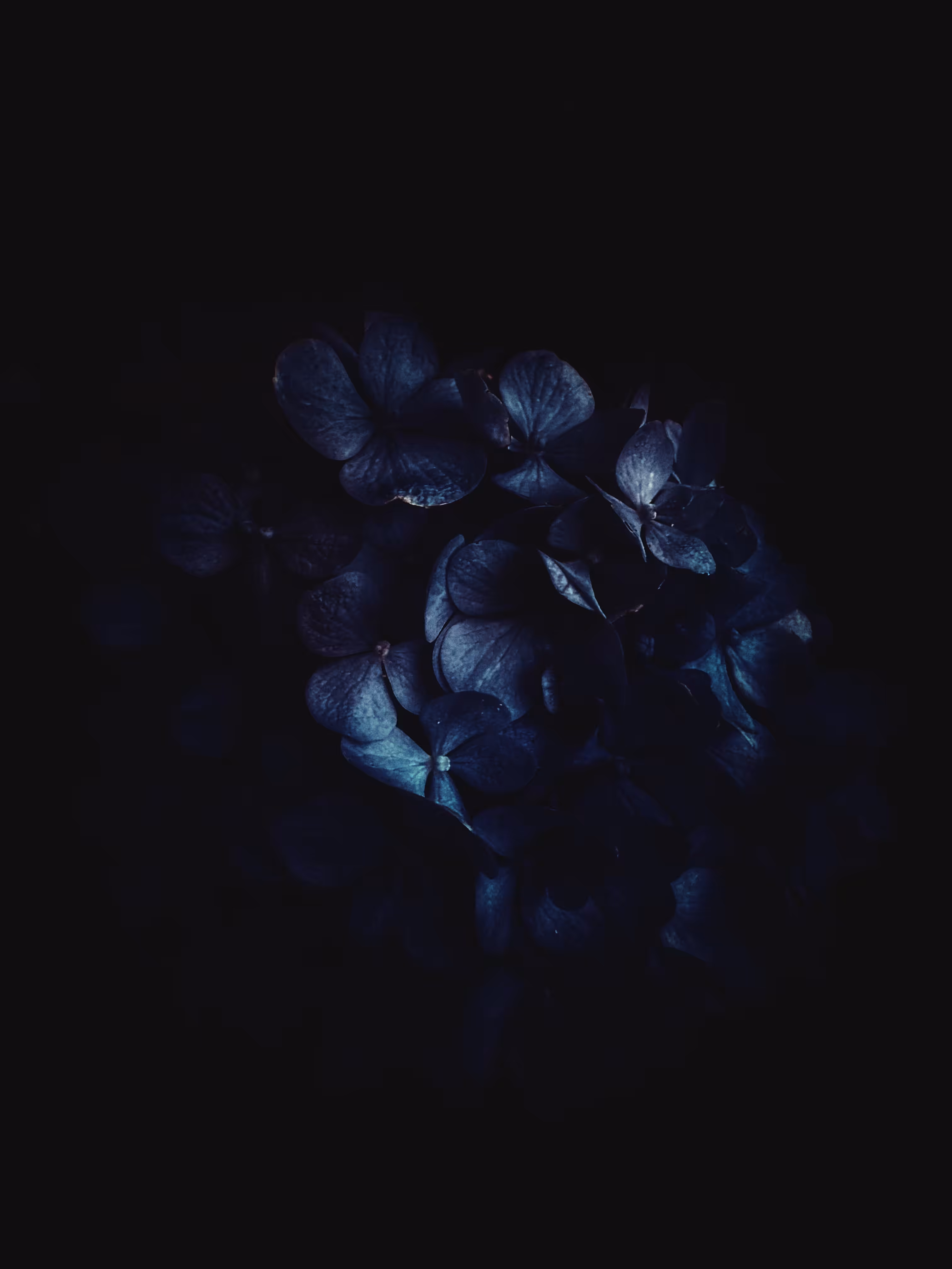 Darkest Night