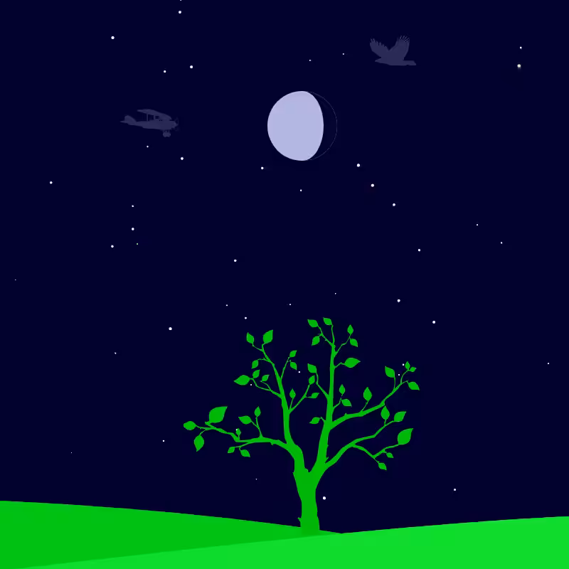 Up in the Night Sky #1